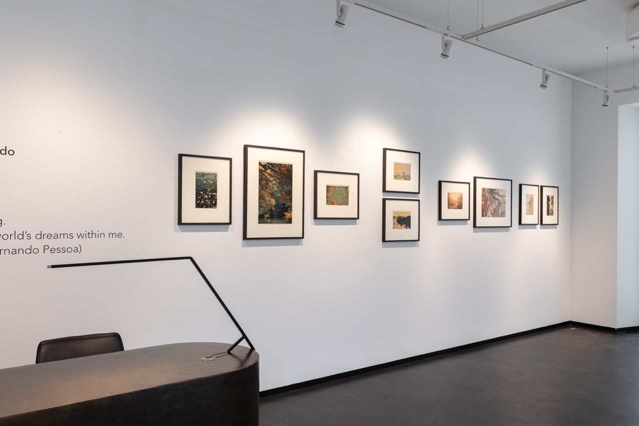 The Mouth of Krishna