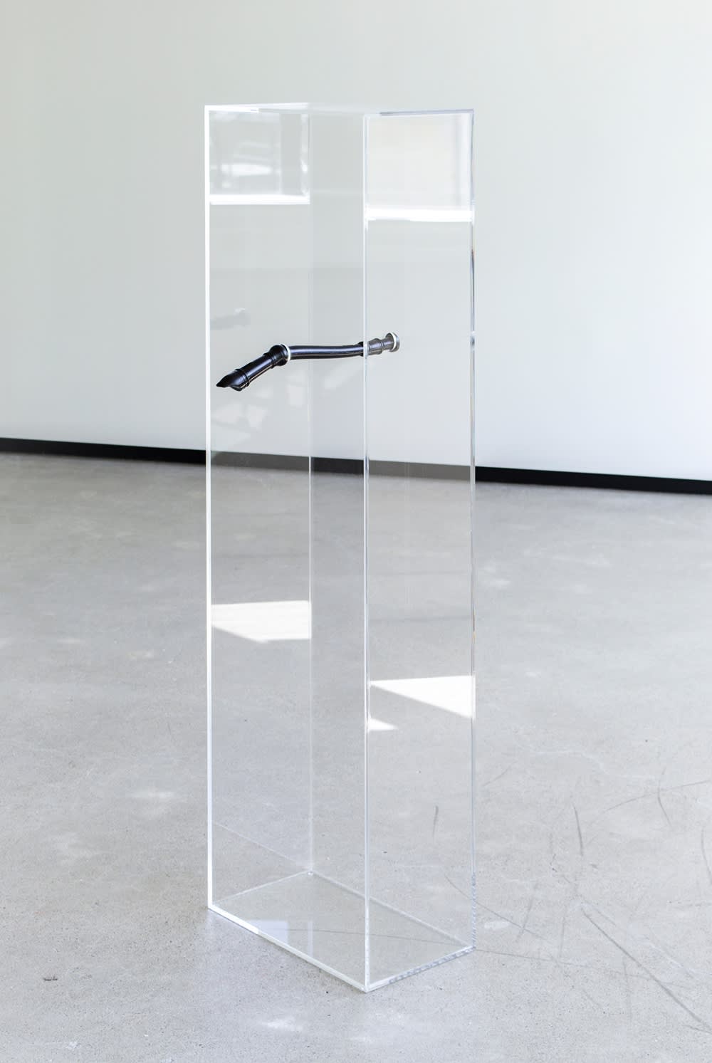 Caitlin Devoy, Display