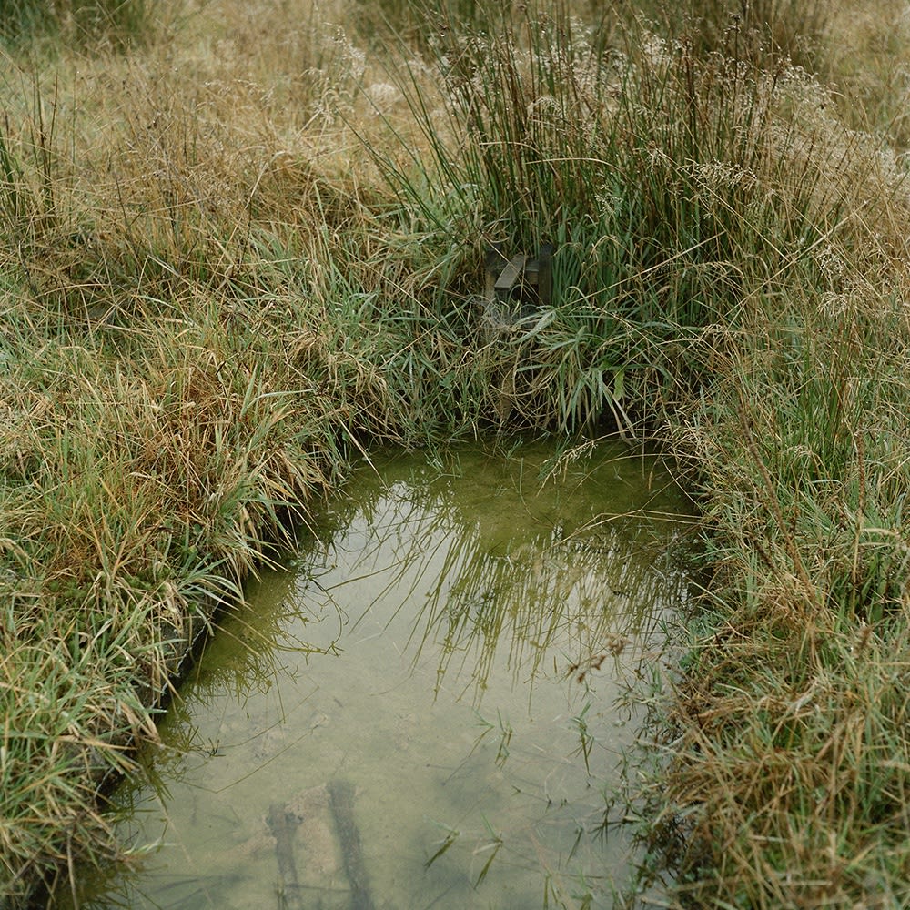 Waiuta Model Village #7. Swimming pool, 2013.