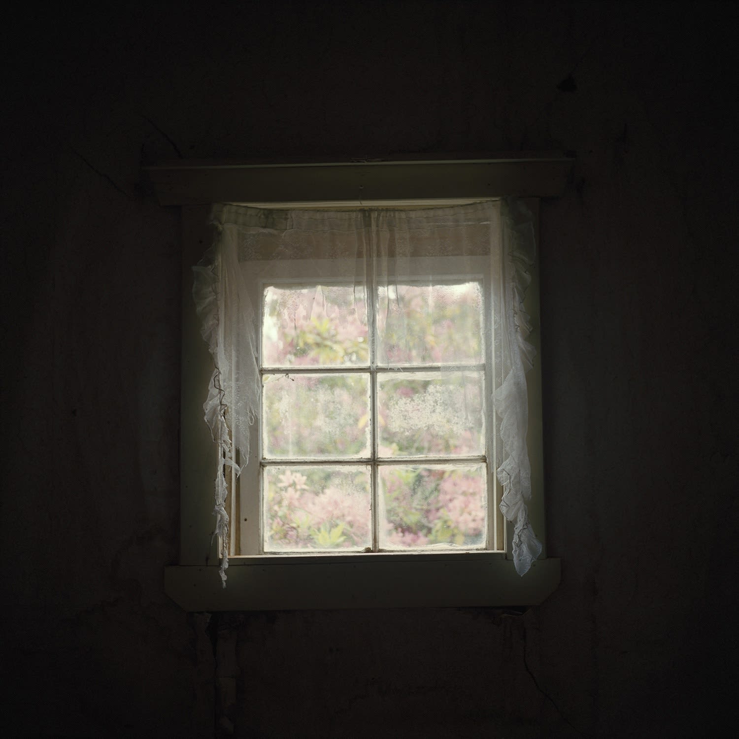 Interior Gill Cottage (Lace curtains). Waiuta. 2011.