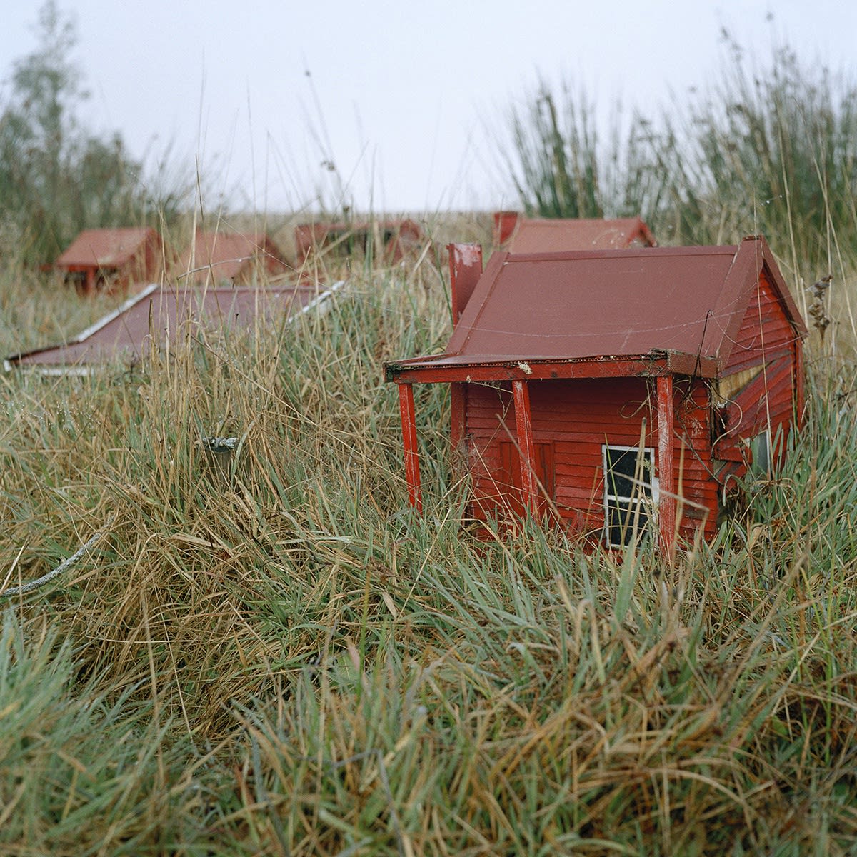 Waiuta Model Village #15. The red huts, single men’s quarters. 2013.