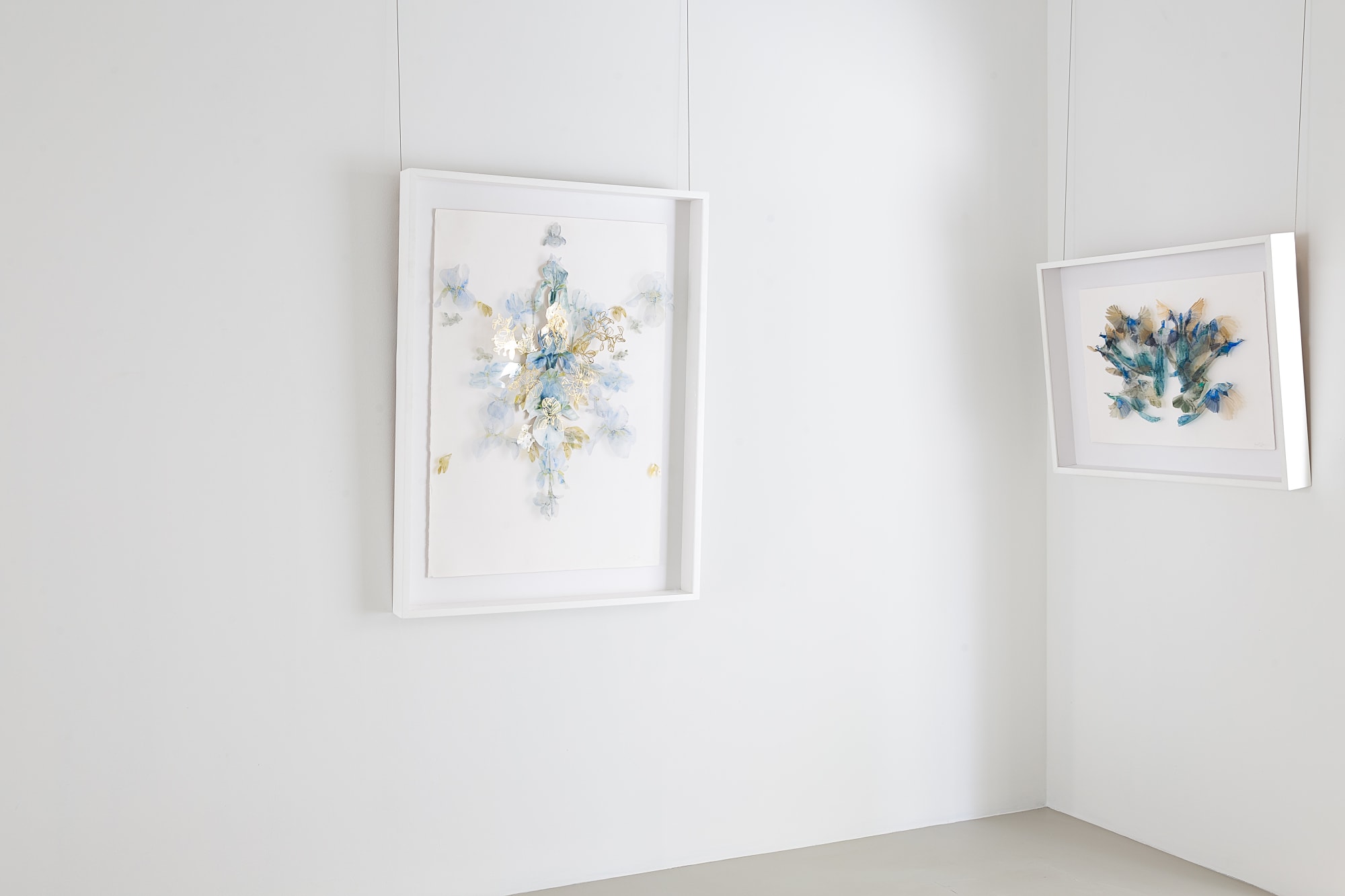 DIVINE SYMMETRY, 2024