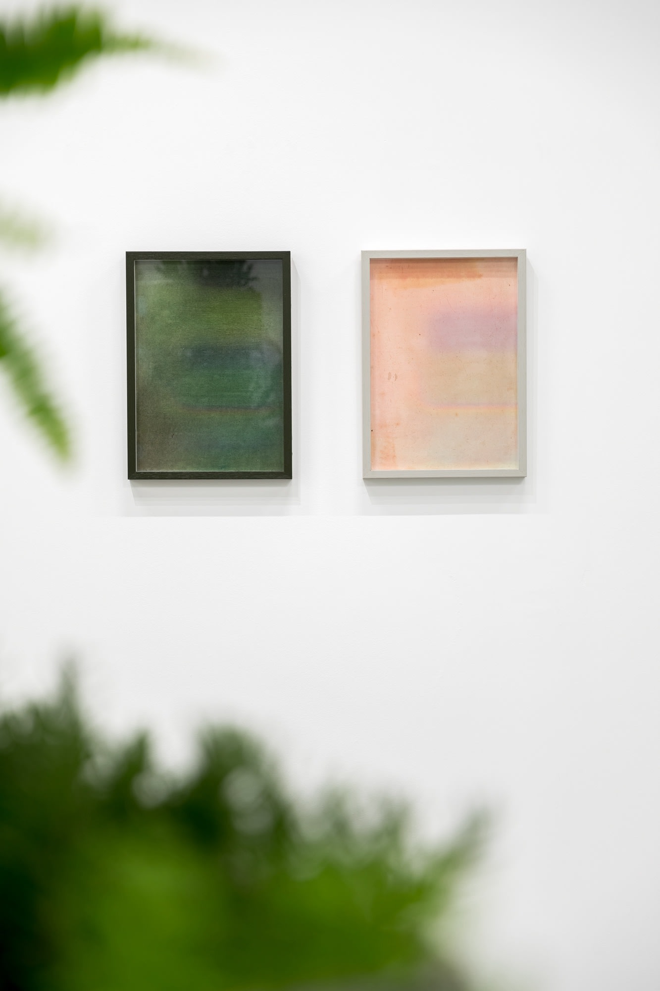 Galeria Francisco Fino - Handle with Care