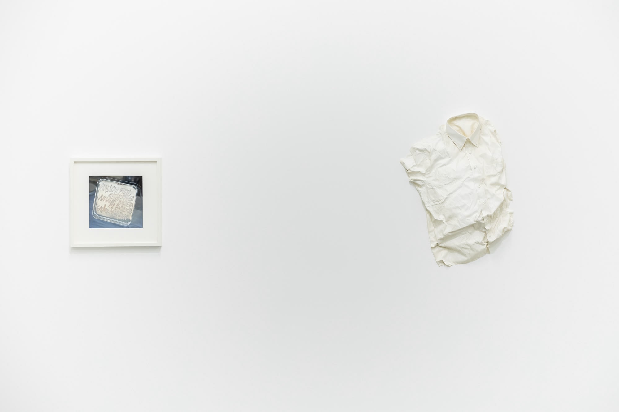 Galeria Francisco Fino - Handle with Care