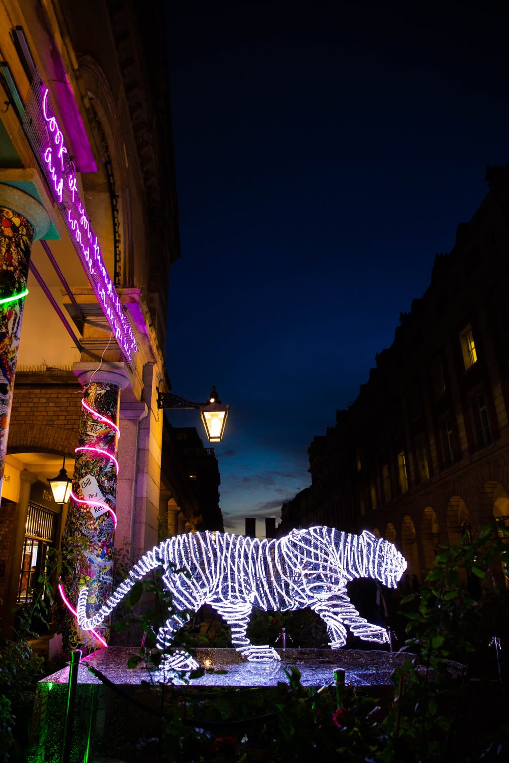 Do you see words in rainbows?