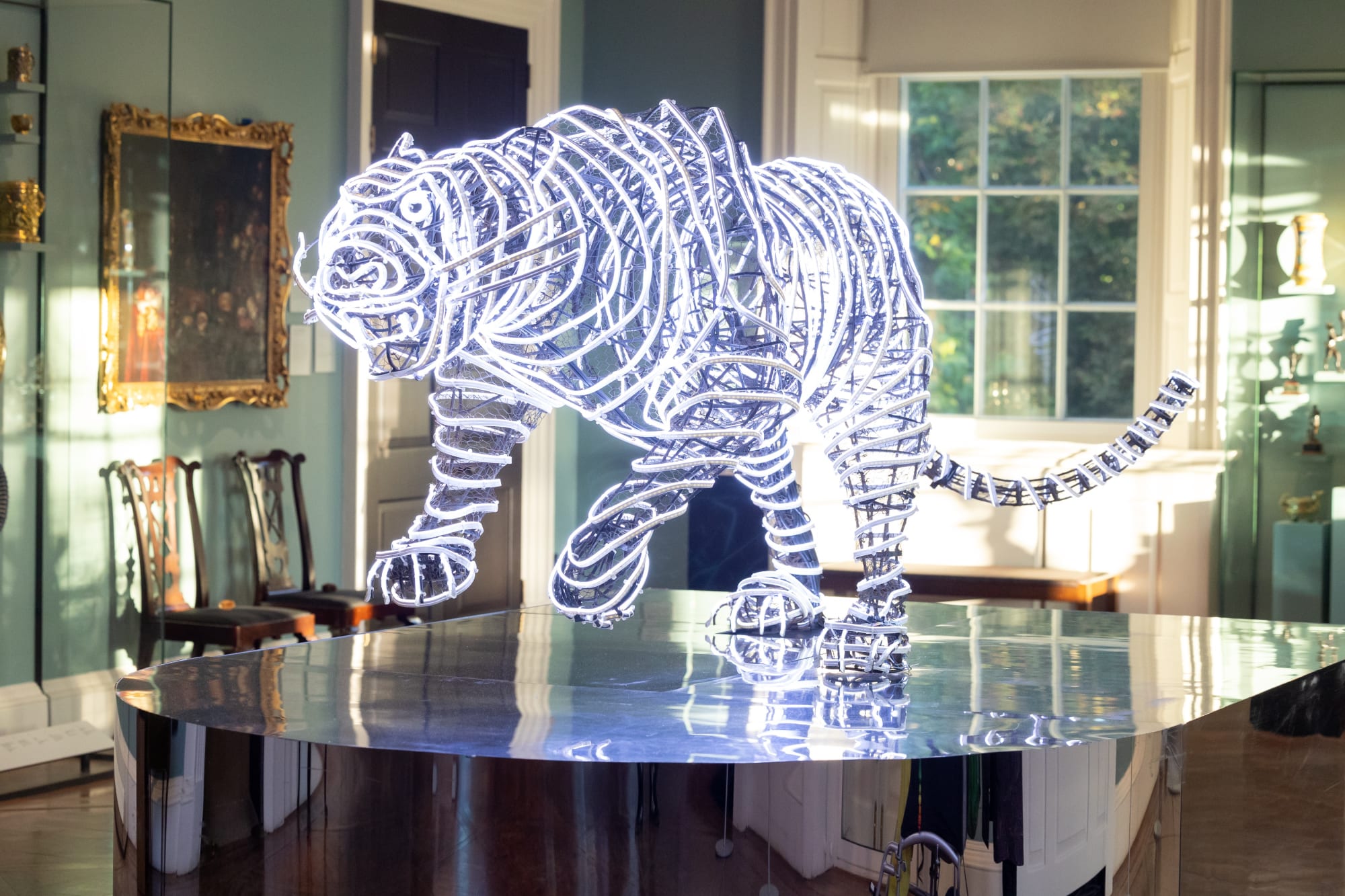 Neon Dreams: Chila Kumari Singh Burman