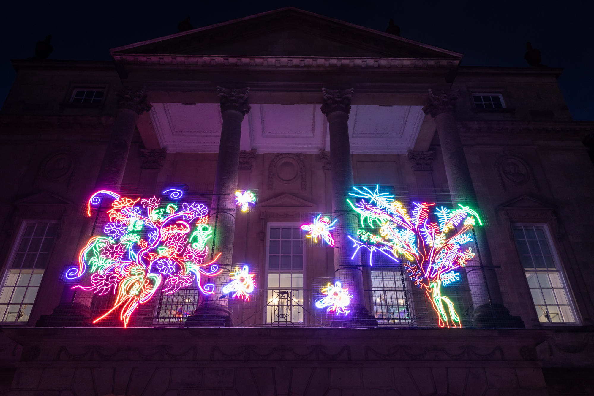 Neon Dreams: Chila Kumari Singh Burman