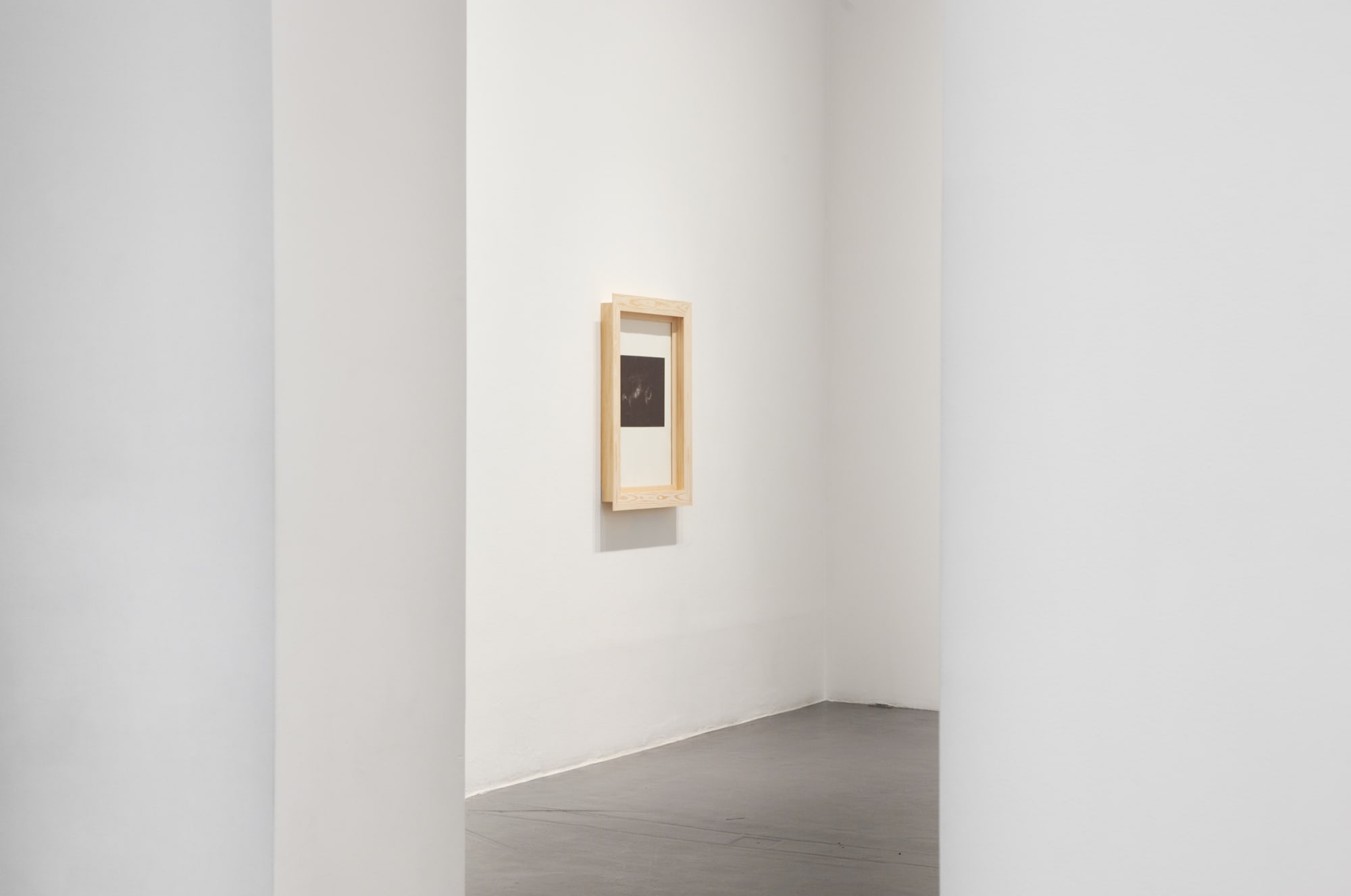 Dan Wolgers | I olivlunden / In the Olive Grove