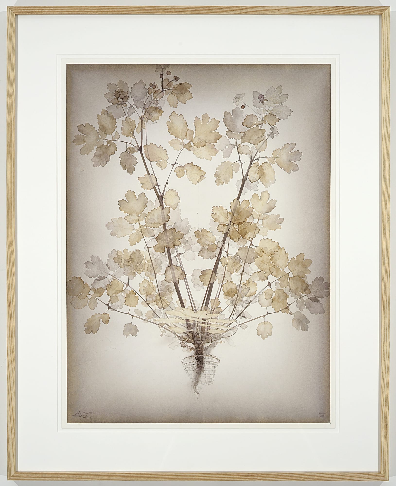 Roger Andersson | The Last Day