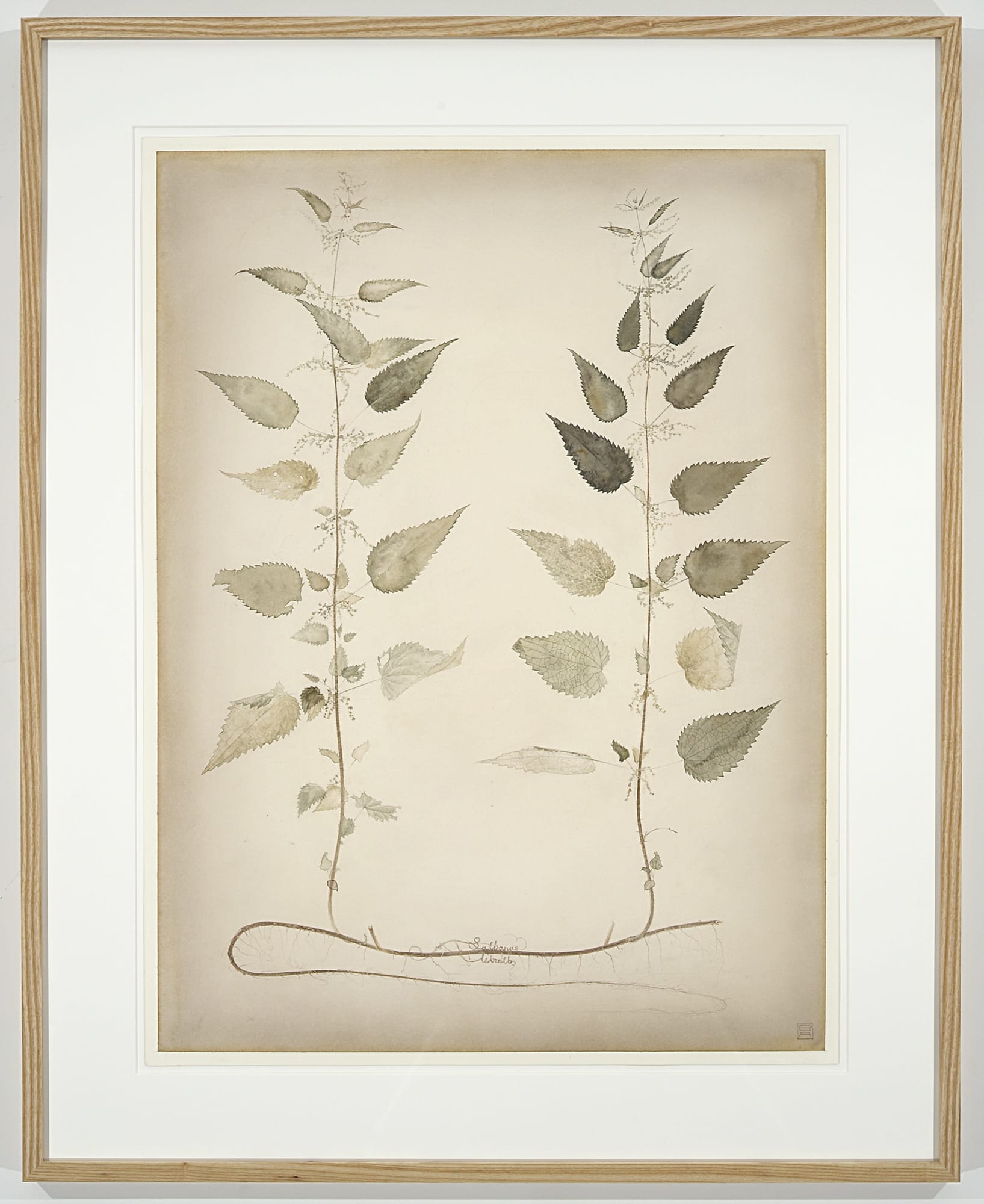 Roger Andersson | The Last Day