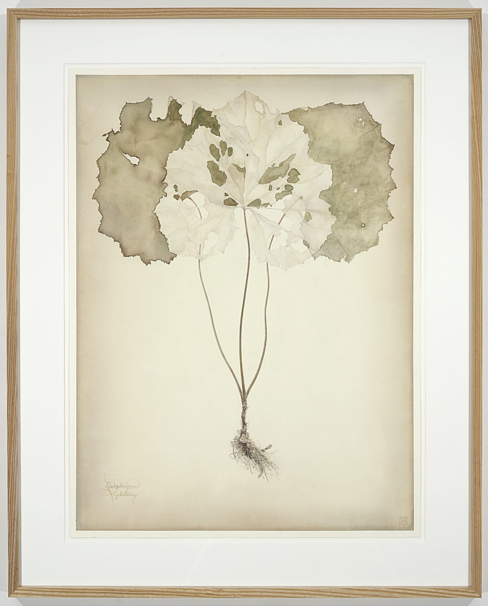 Roger Andersson | The Last Day