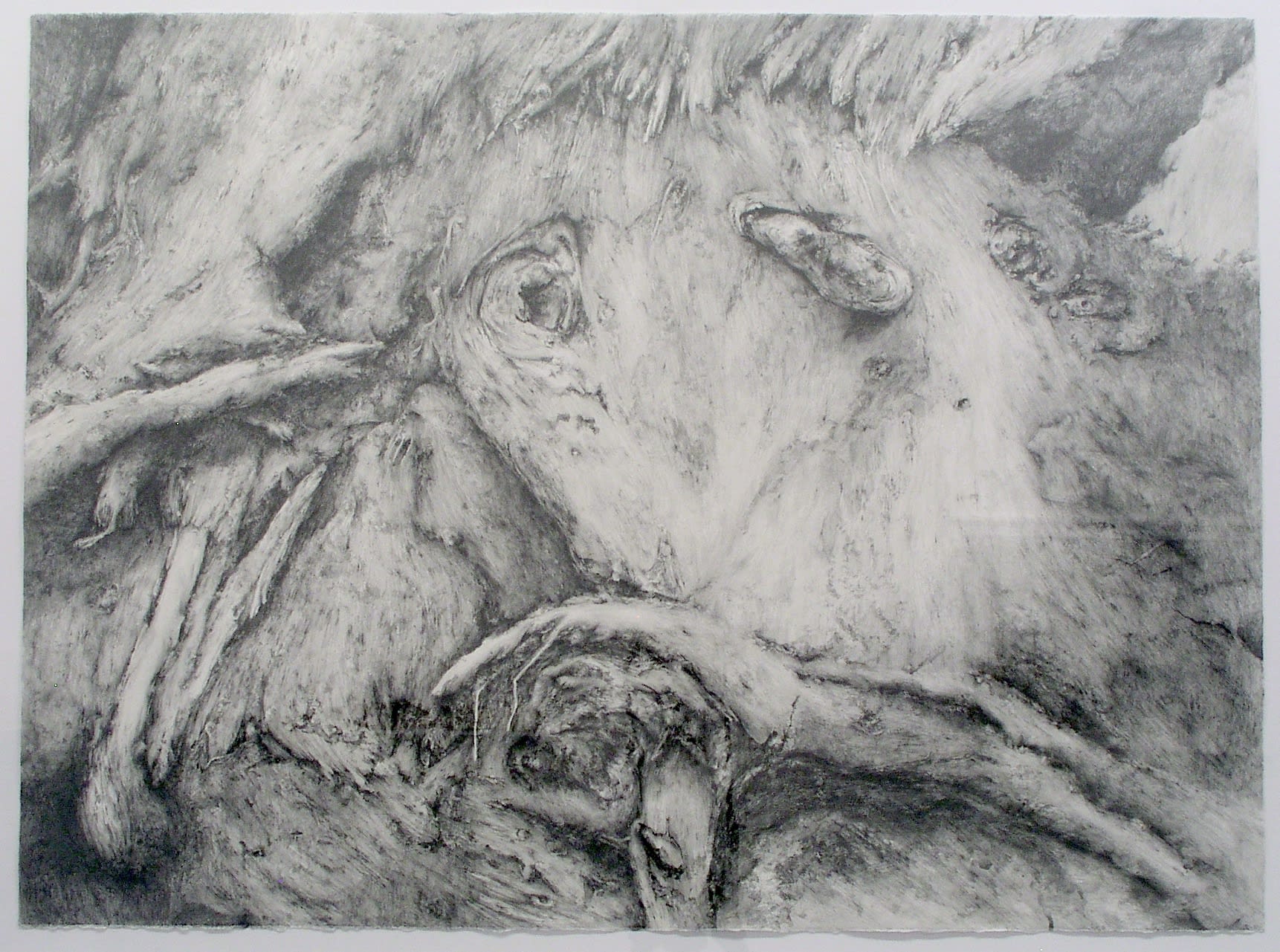 Johanna Karlsson | Sculptures and Drawings