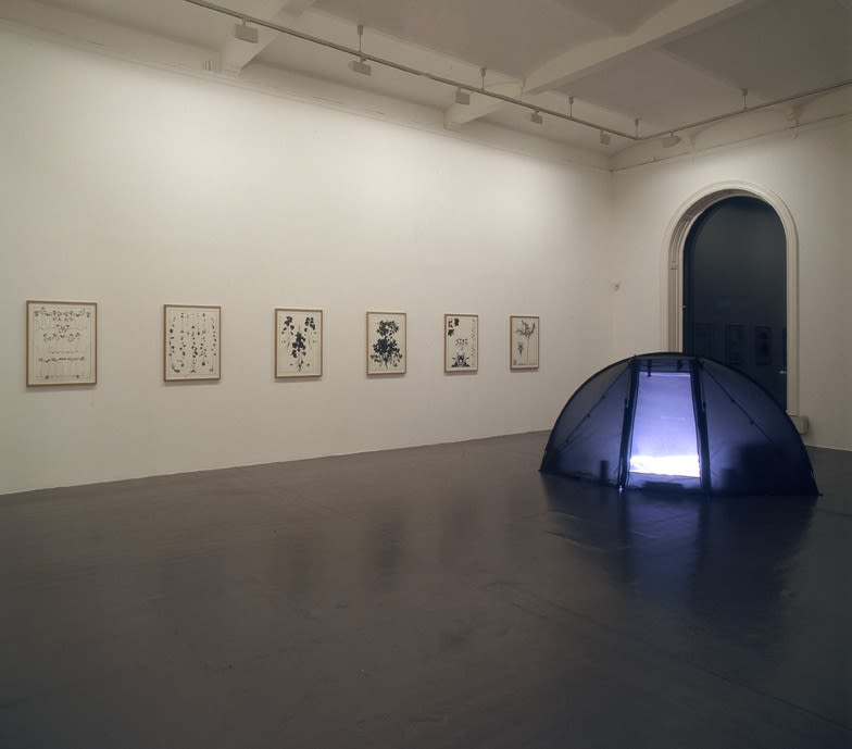 Roger Andersson | Quattro Stagioni