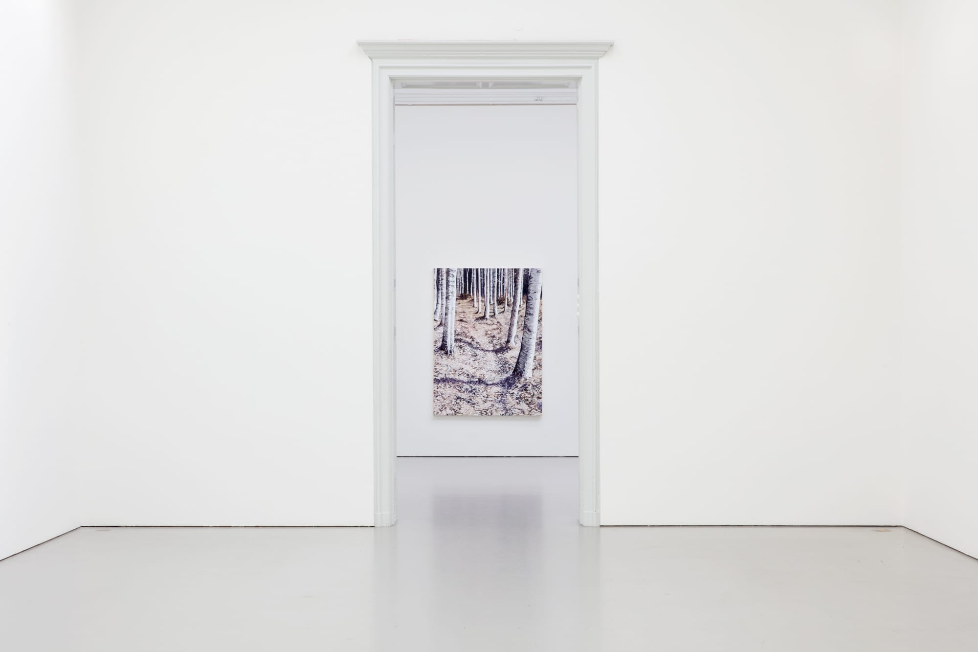 Sara-Vide Ericson | Interior Ambush