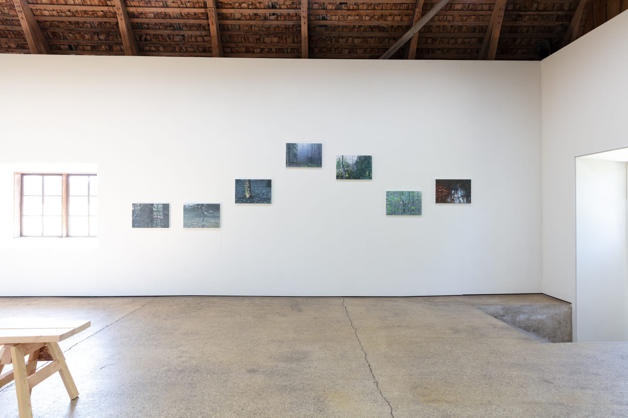 Tommy Hilding | Borealis