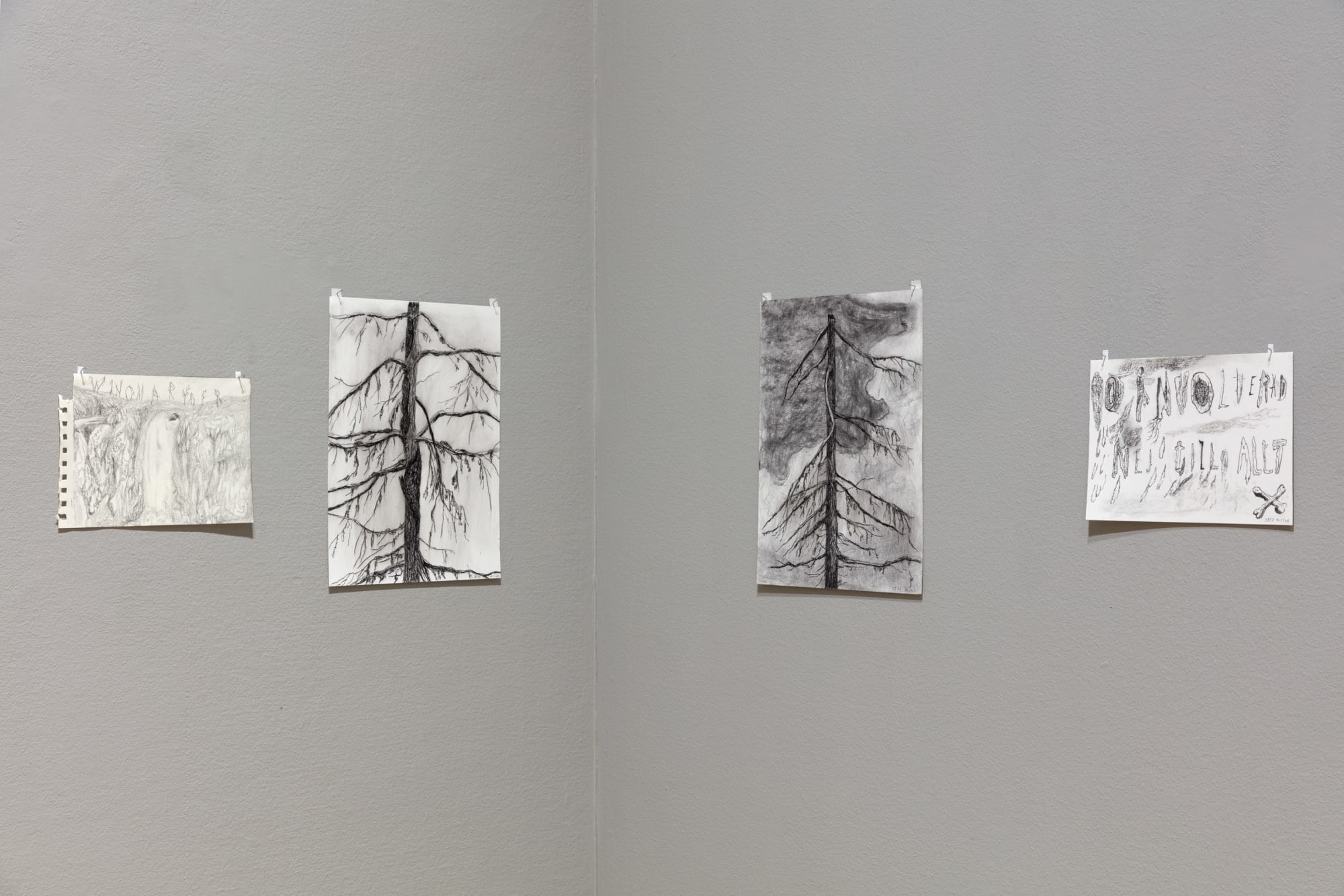 Jeff Olsson | Skogspalatset / Palace of the forest