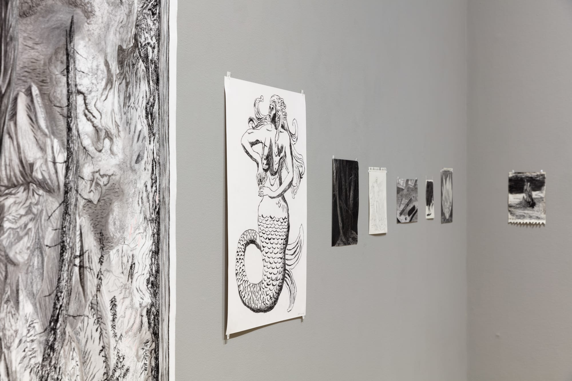 Jeff Olsson | Skogspalatset / Palace of the forest