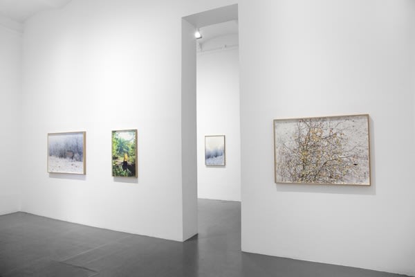 Ulf Lundin | Monumentet / The Monument