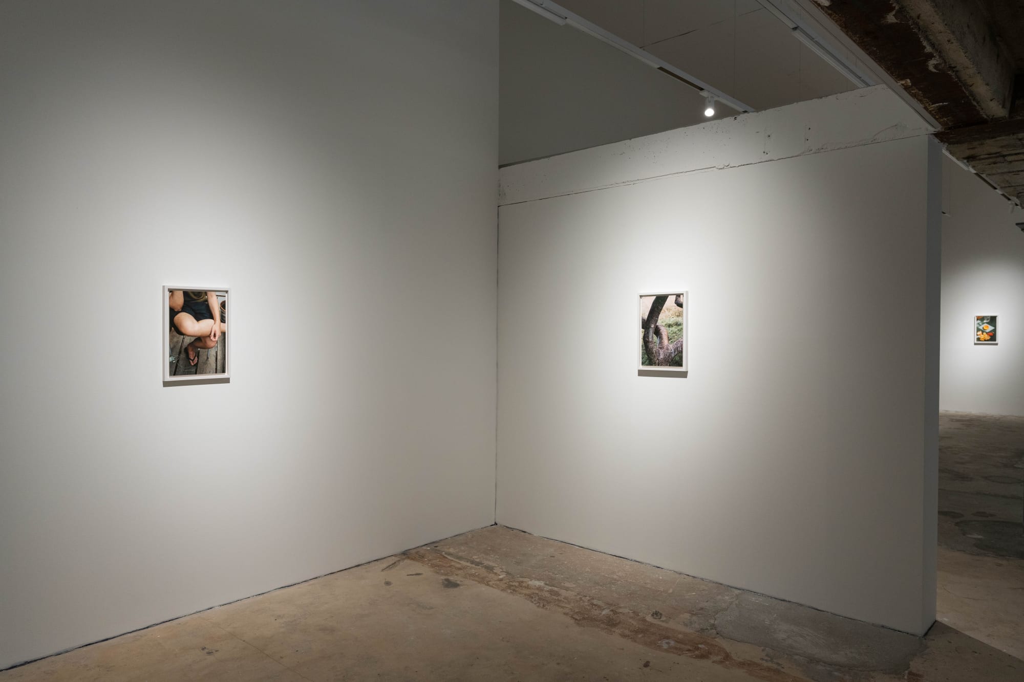 I wish I called you sooner Fabienne Levy Gallery Lausanne 1st February - 14th March 2024 ©gianlosinger