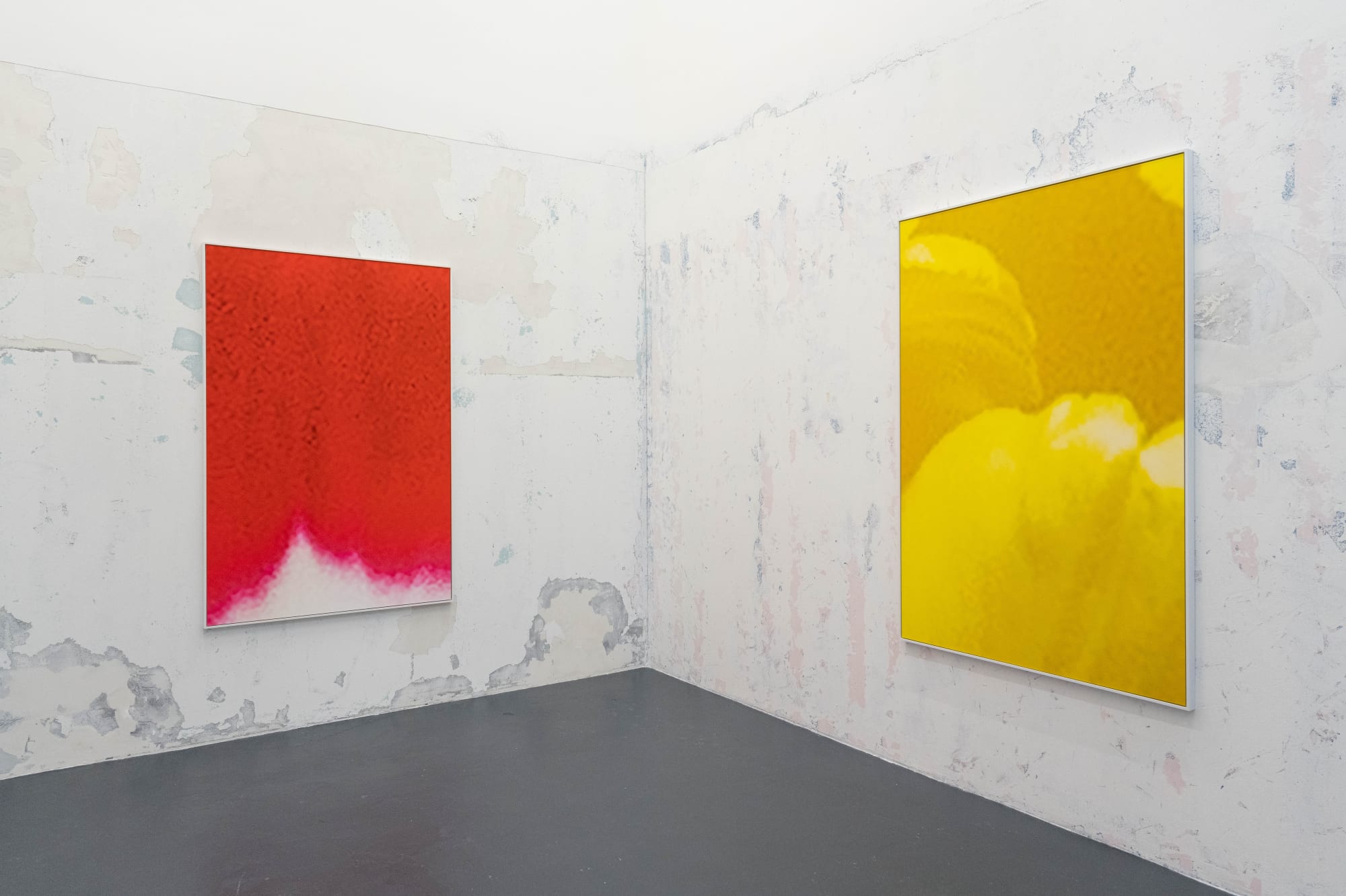 I wish I called you sooner Fabienne Levy Gallery Lausanne 1st February - 14th March 2024 ©gianlosinger