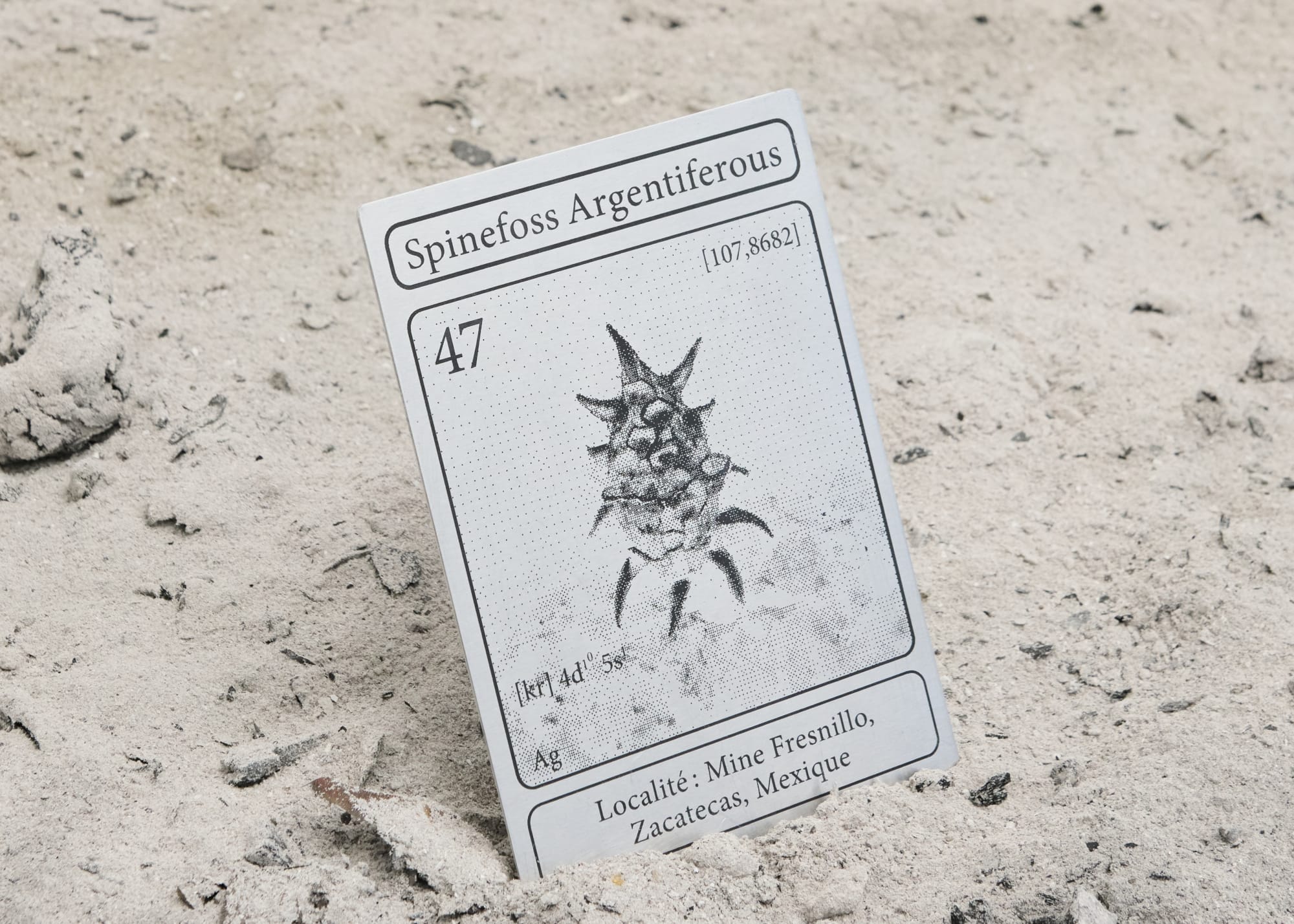 Elsa Wagnières, Là où rien ne devait pousser, Fabienne Levy Lausanne, 2025 © Léa Isoard