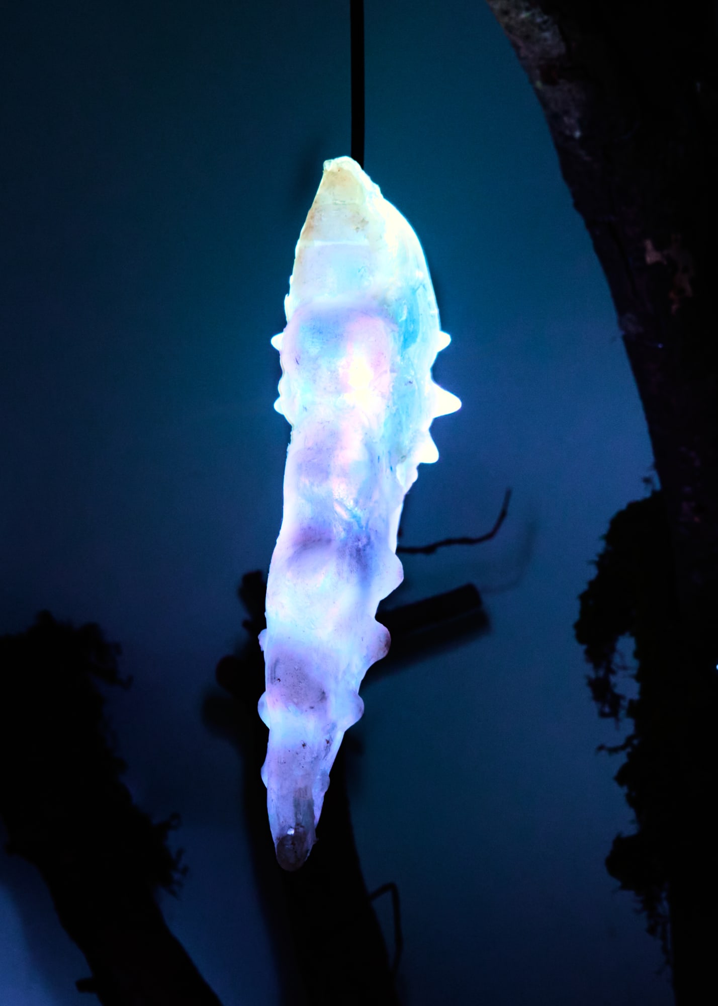 Elsa Wagnières, Là où rien ne devait pousser, Fabienne Levy Lausanne, 2025 © Léa Isoard