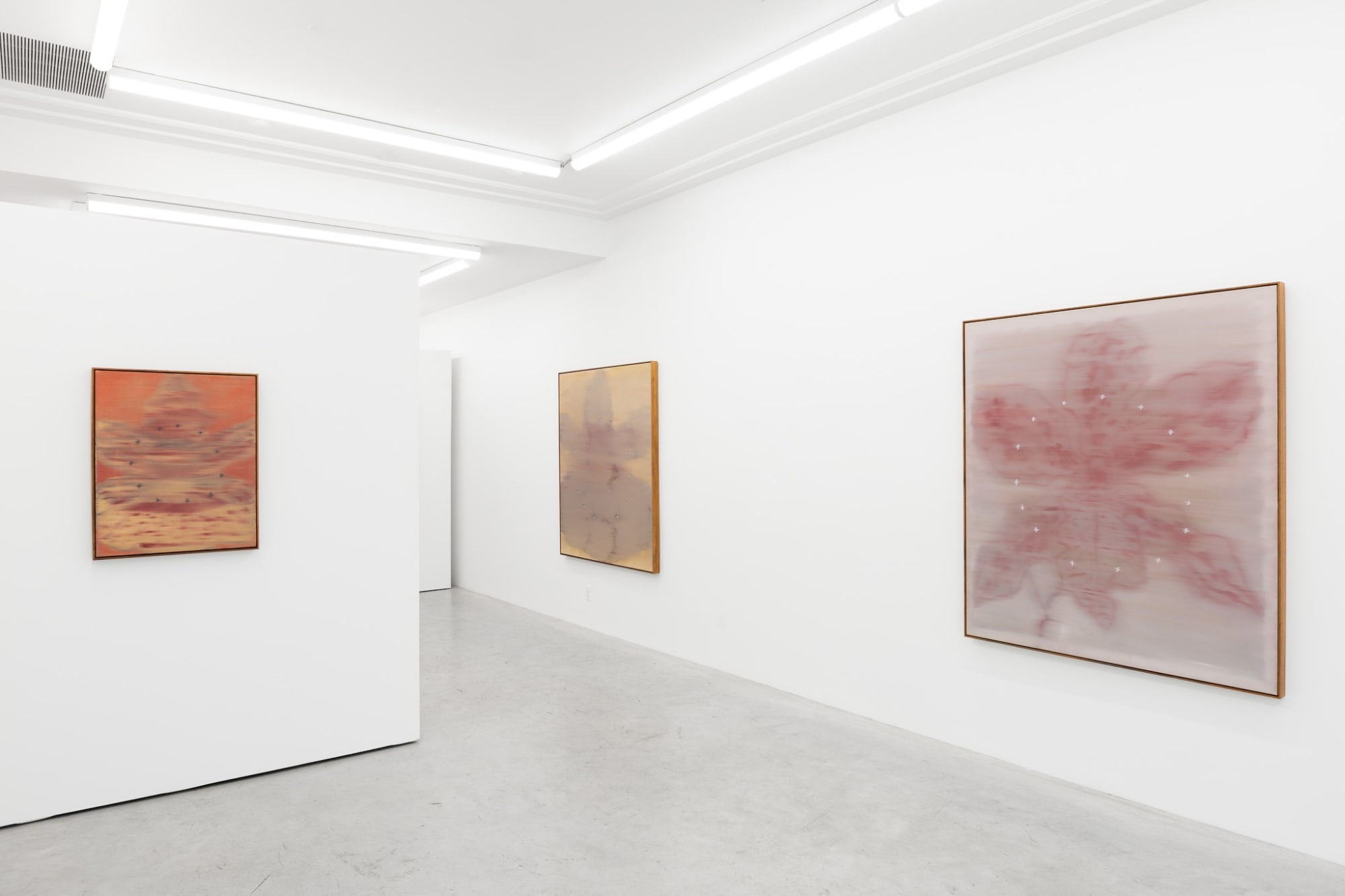 SCHOOL OF THE FLOWER