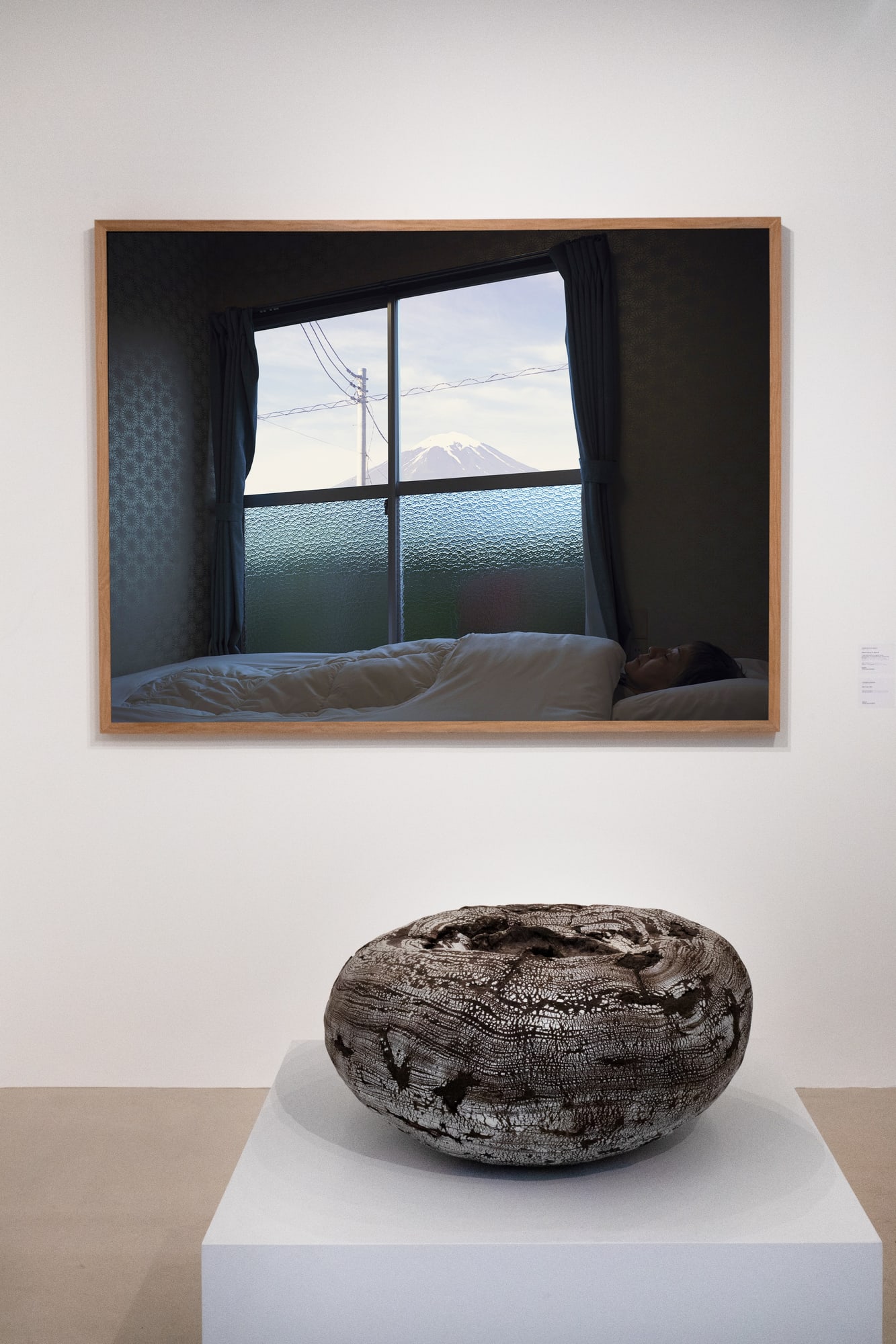 Rebirth 2023, Galerie Anne-Laure Buffard