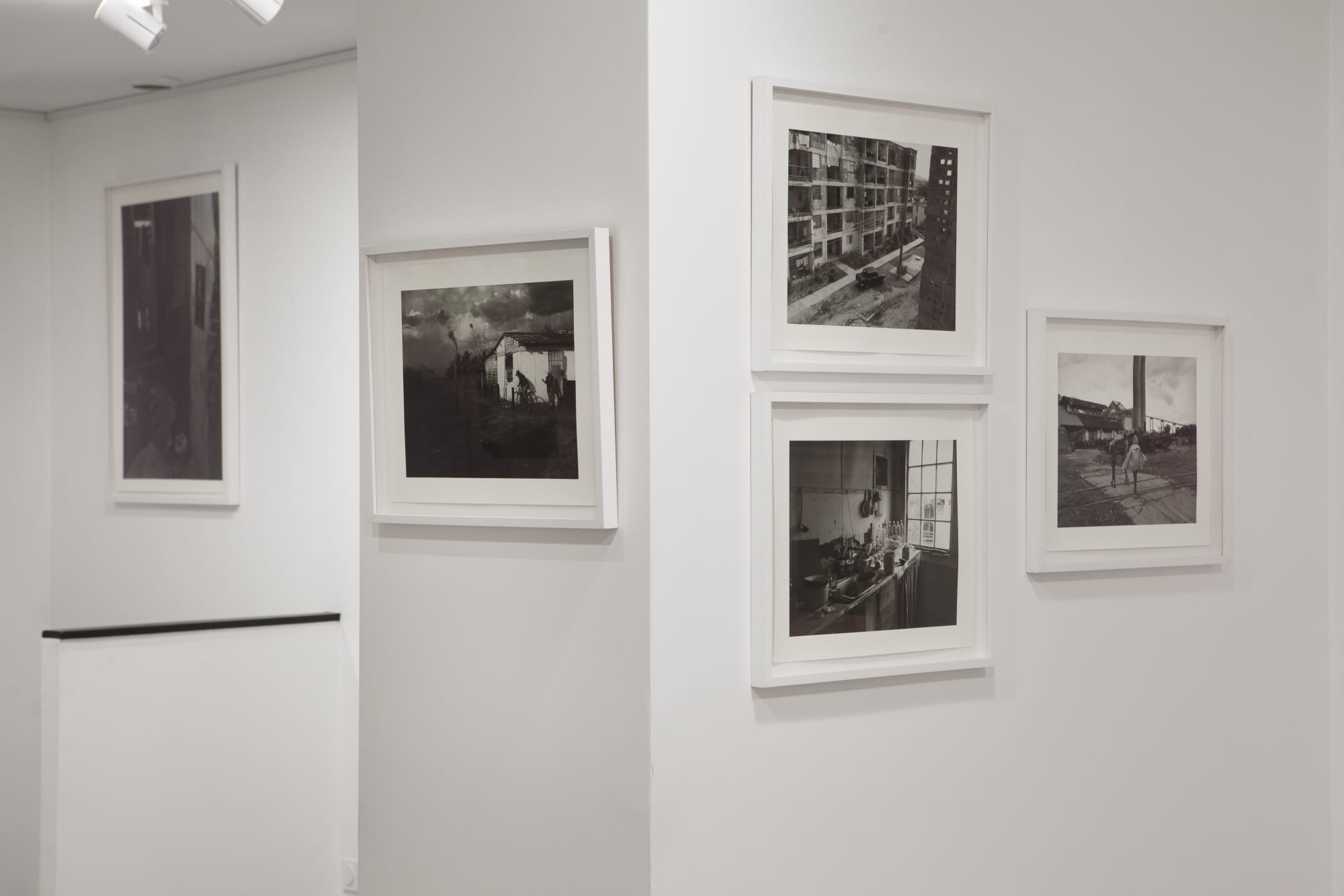 Desmemoria - Pierre-Elie de Pibrac