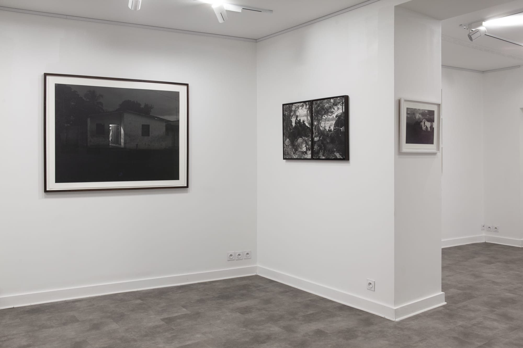 Desmemoria - Pierre-Elie de Pibrac