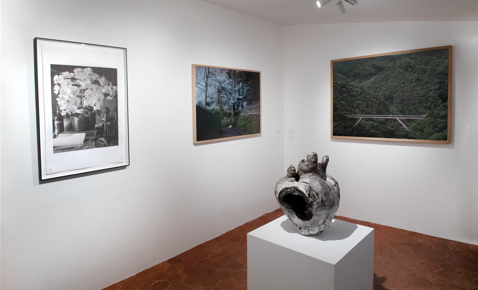 Rebirth - Pierre-Elie de Pibrac et Yoshimi Futamura