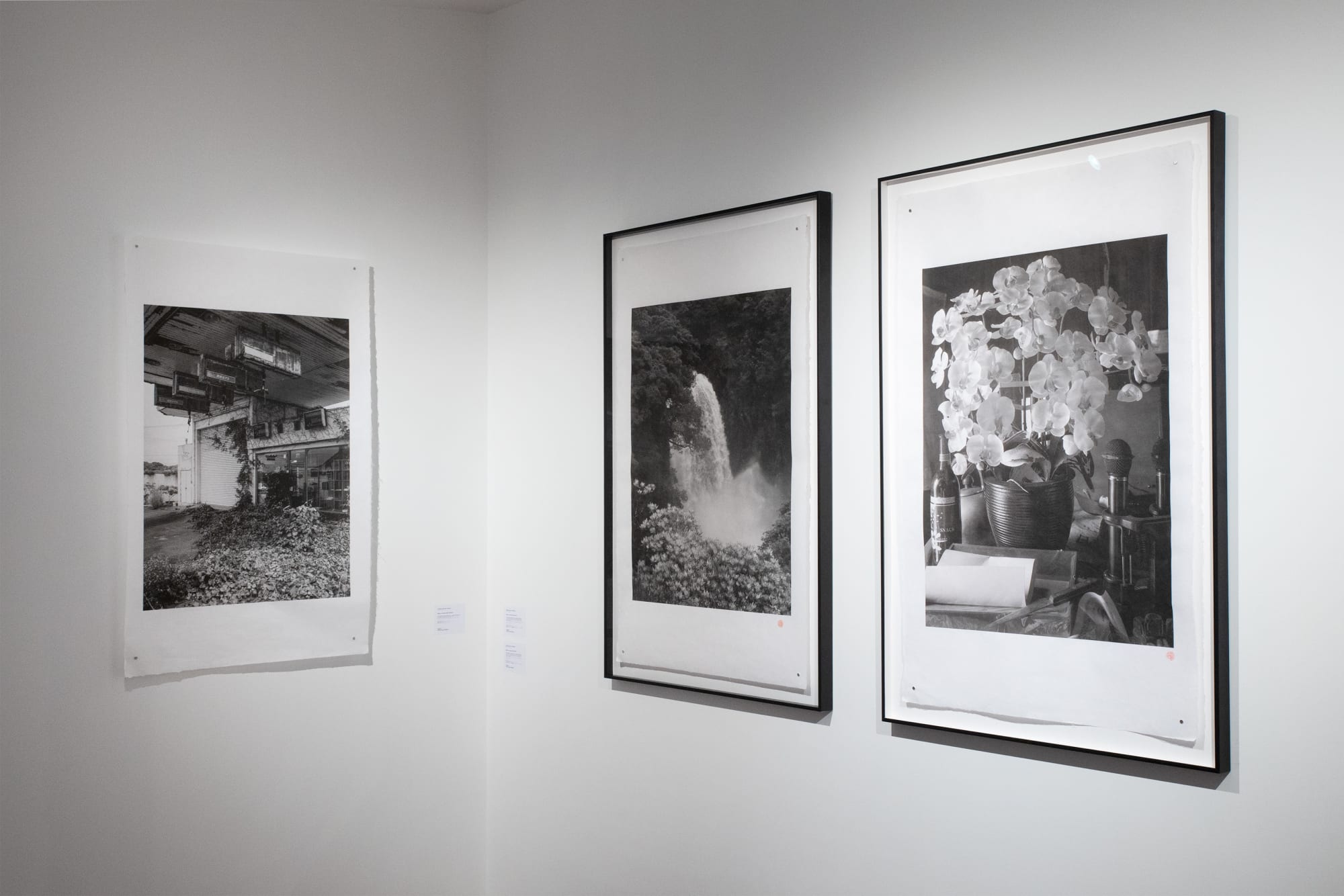 Rebirth - Pierre-Elie de Pibrac et Yoshimi Futamura