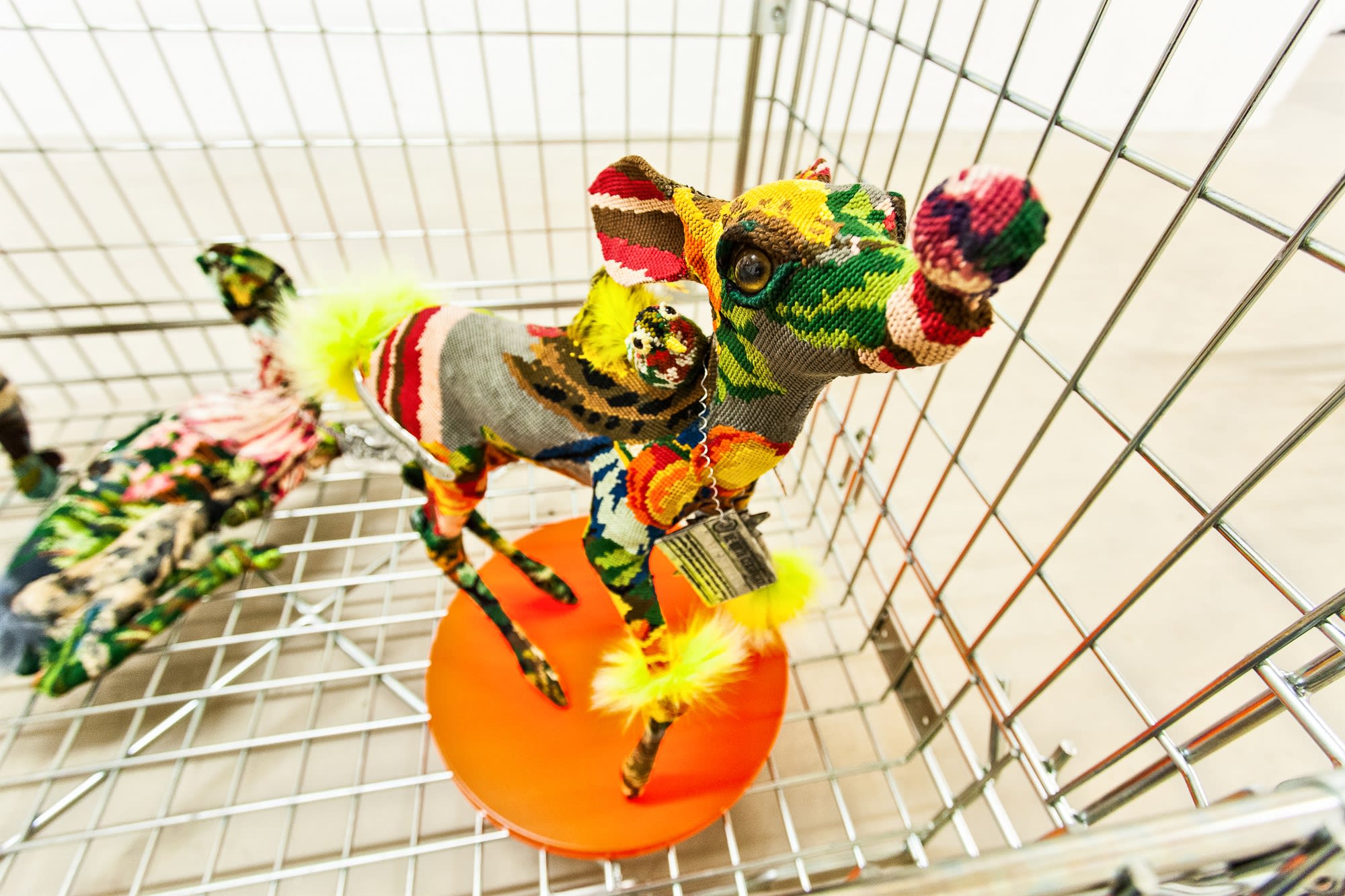 Loughran Gallery, Blizzard