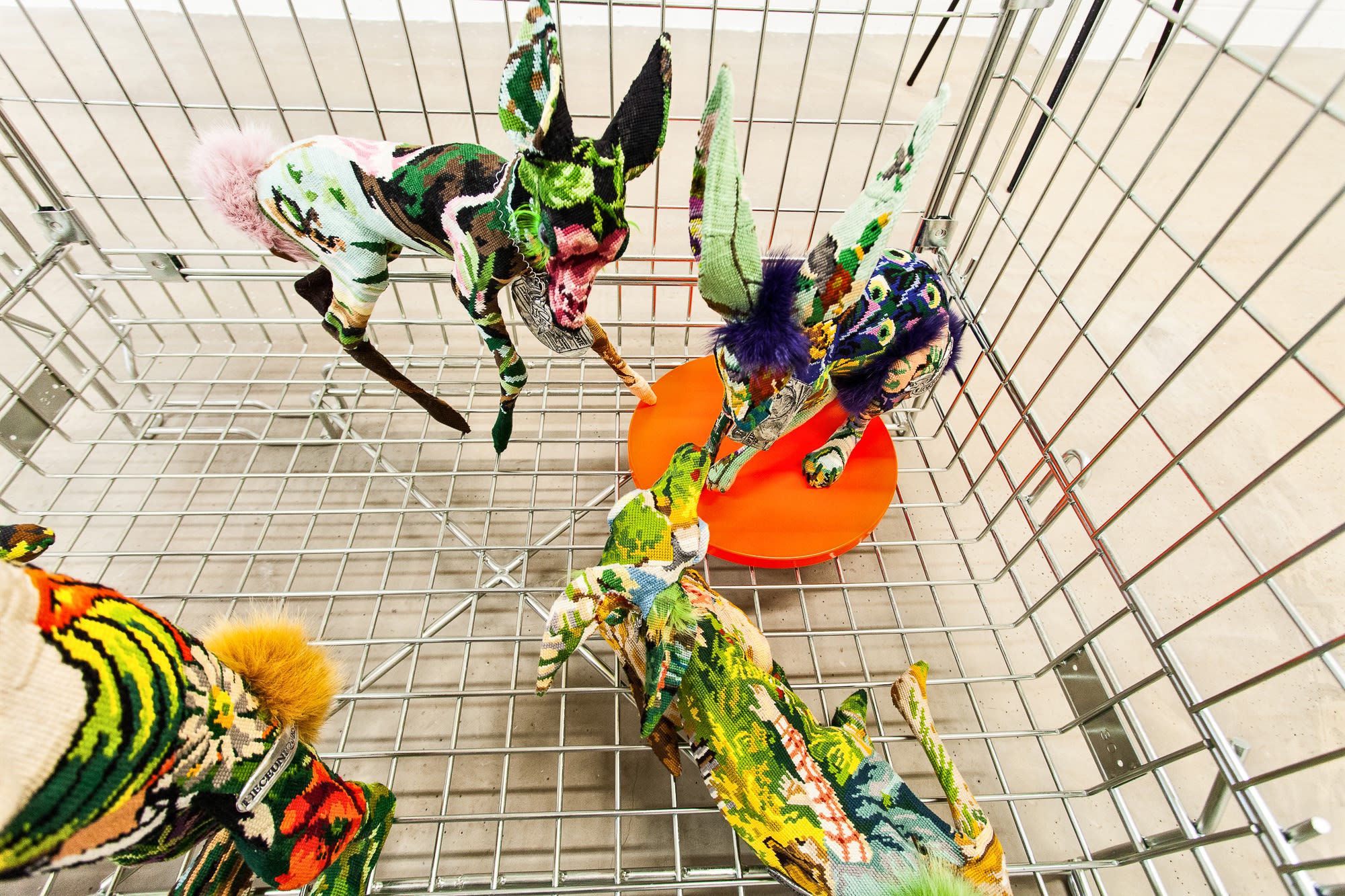 Loughran Gallery, Blizzard