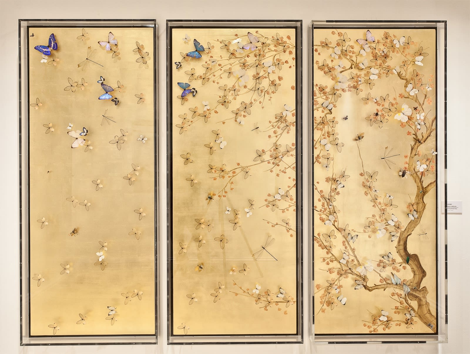 Motcomb Street Summer Exhibition