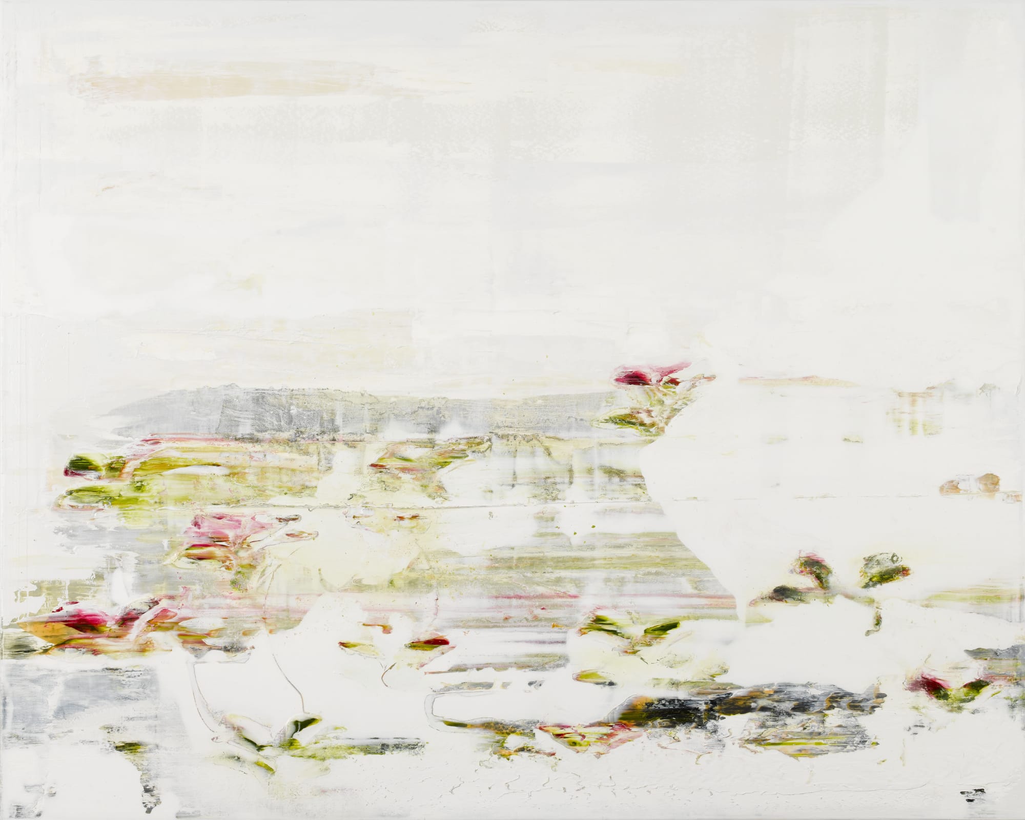 Jessica Zoob, Dancing with Colour