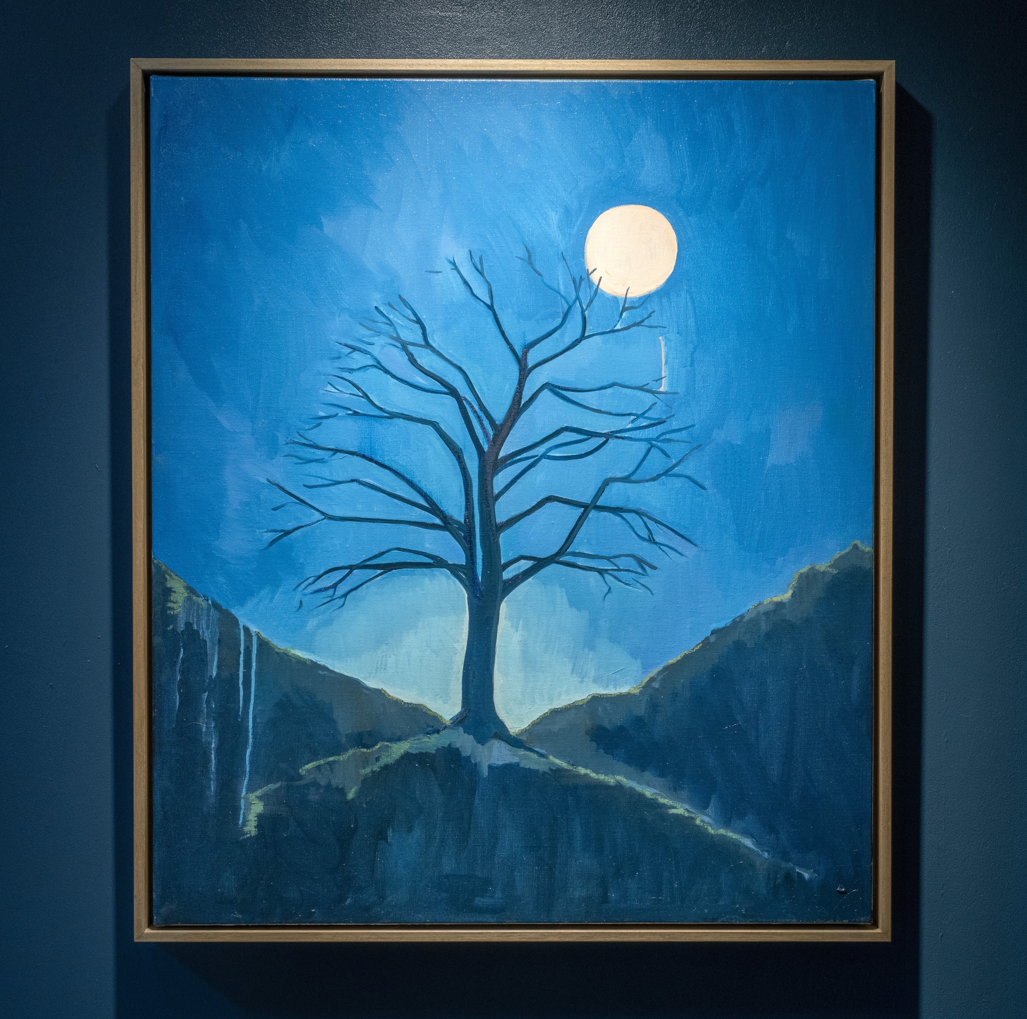 Nancy Cadogan, The Lost Trees