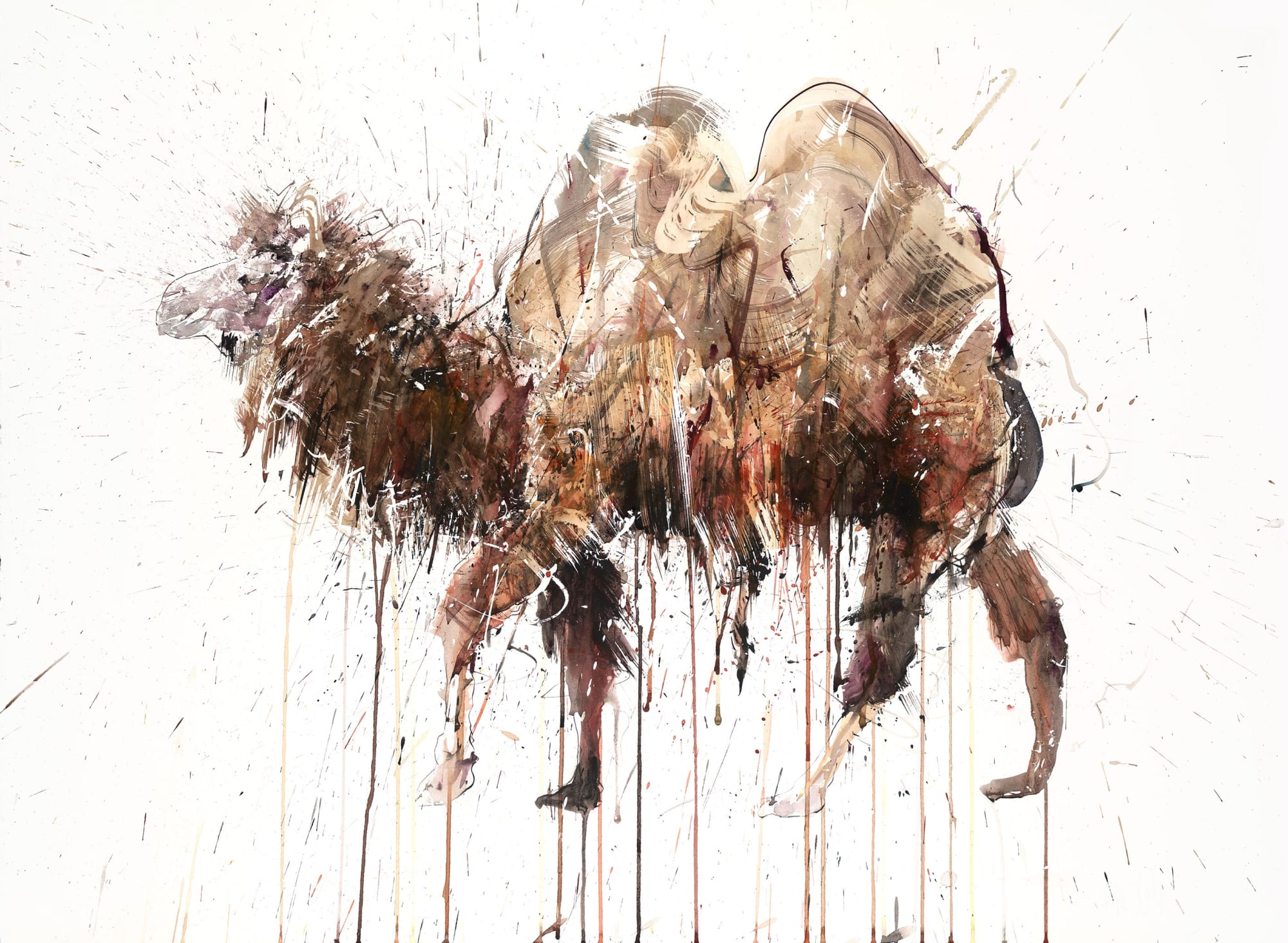 Dave White, Critical