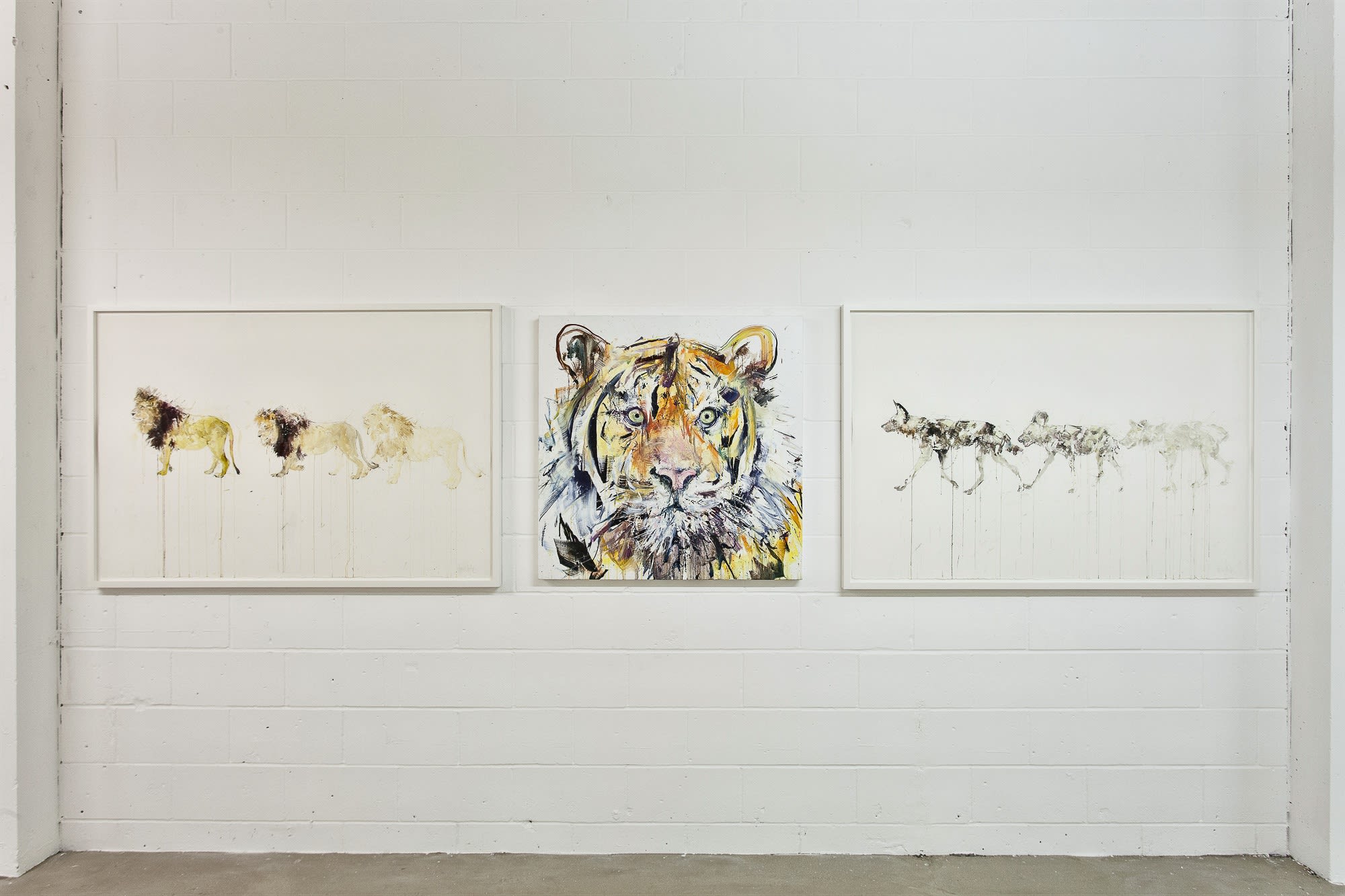 Dave White, Critical