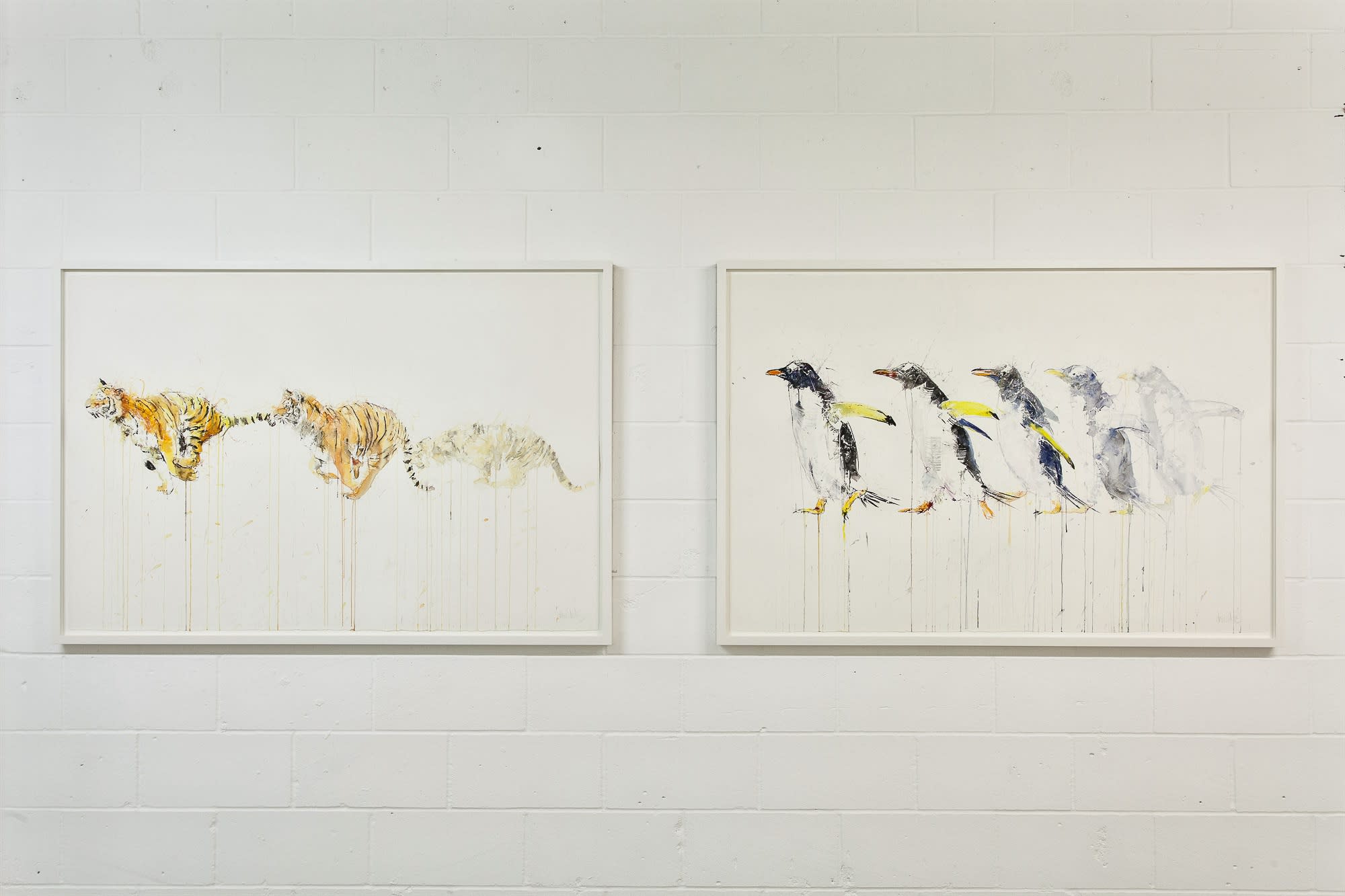 Dave White, Critical