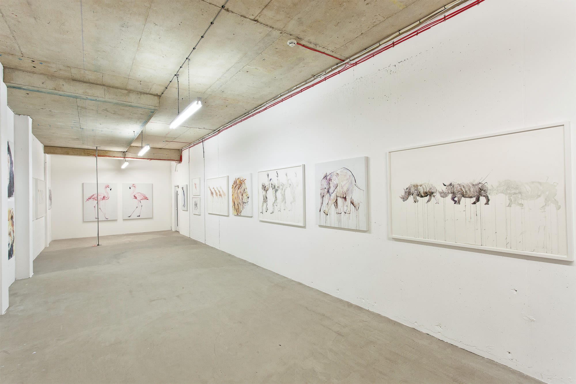 Dave White, Critical