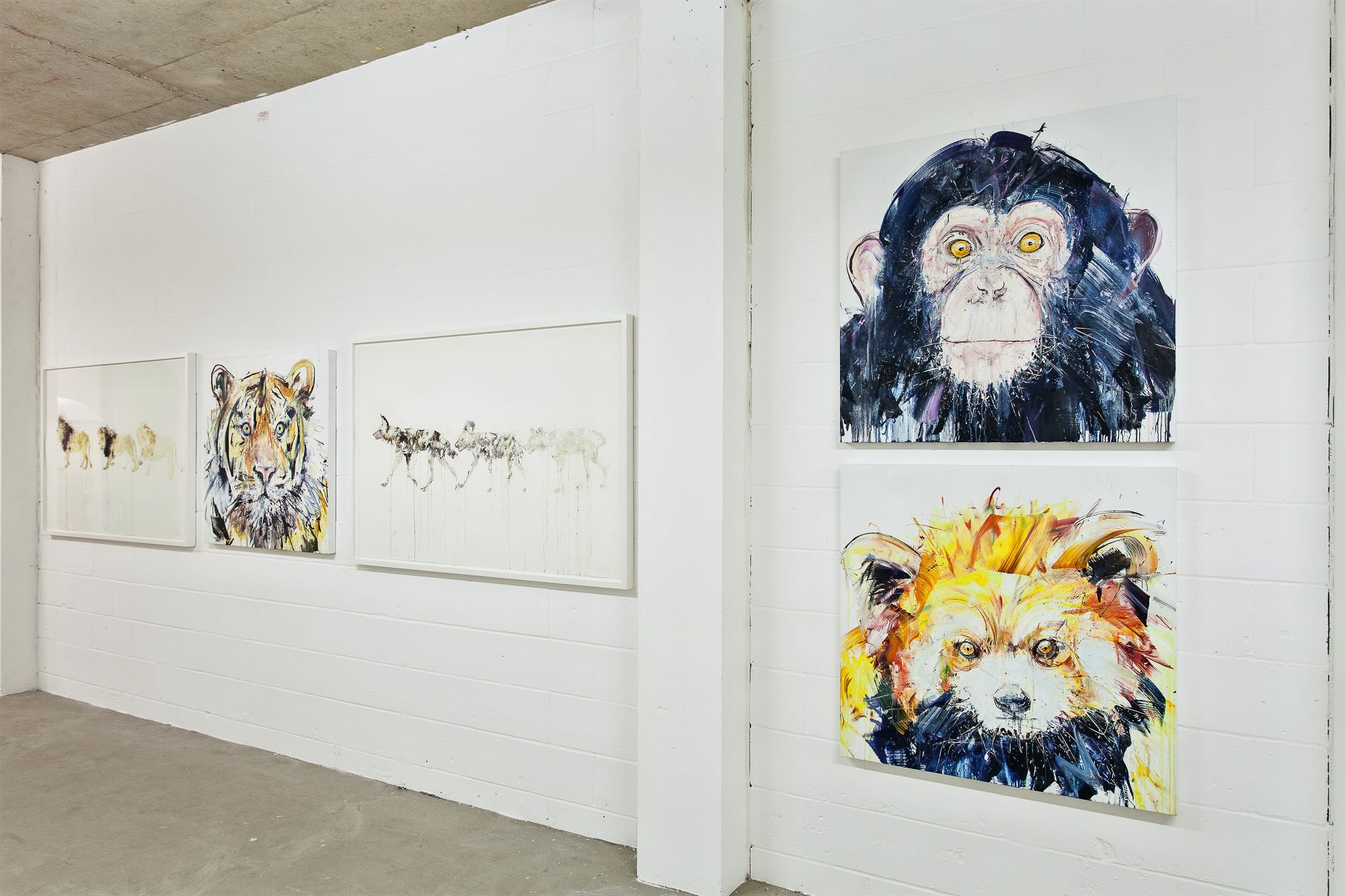 Dave White, Critical