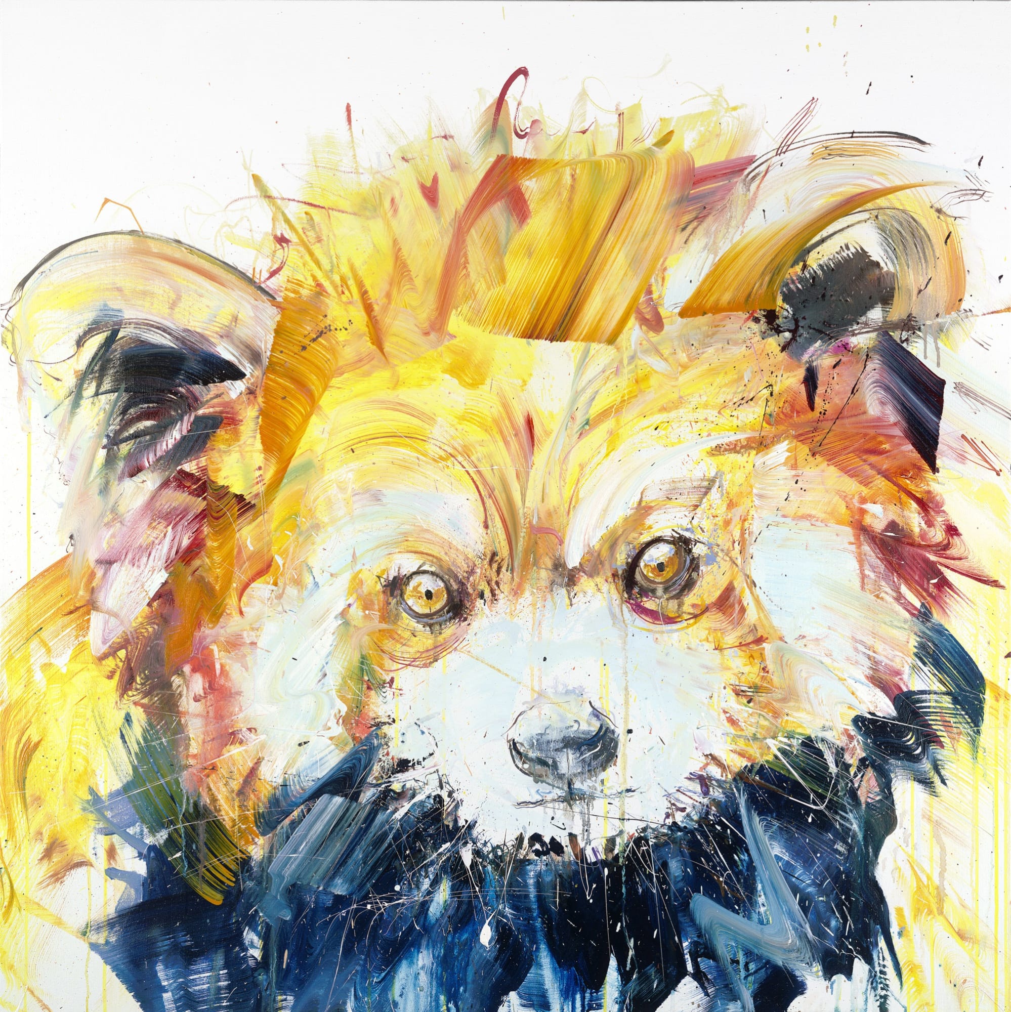 Dave White, Critical