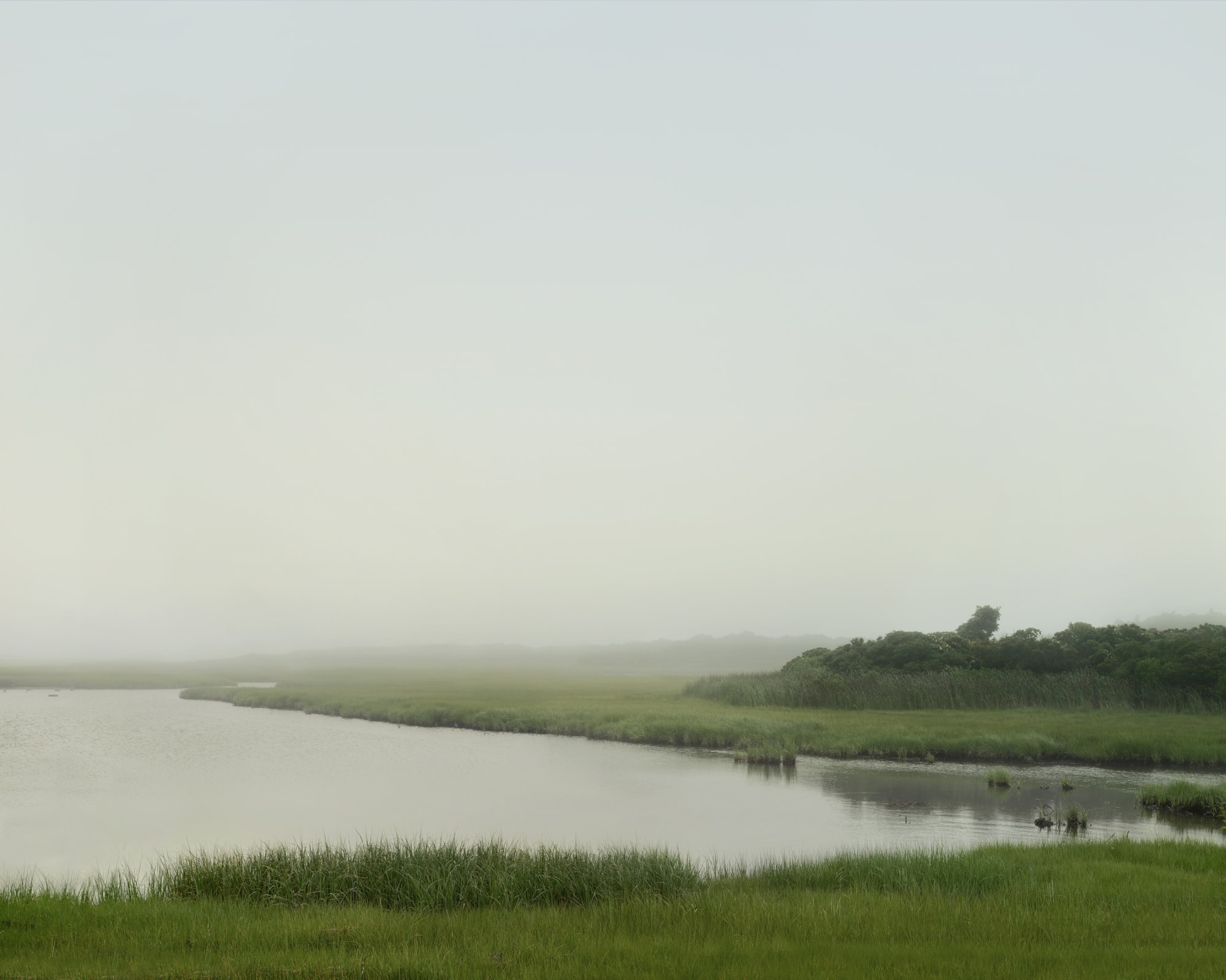 MIchael Gaillard Studio: Nantucket