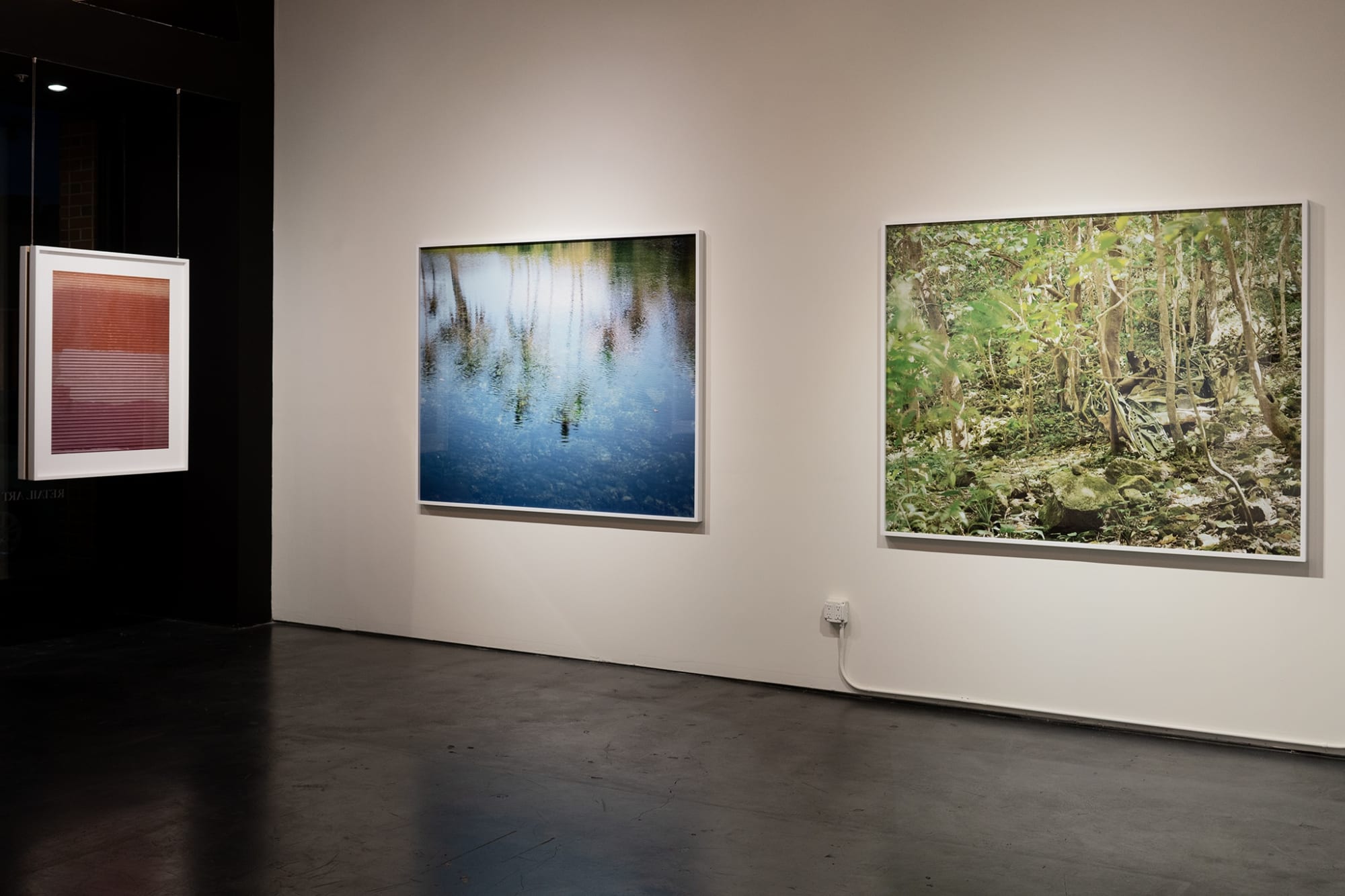 The Coveted Landscape