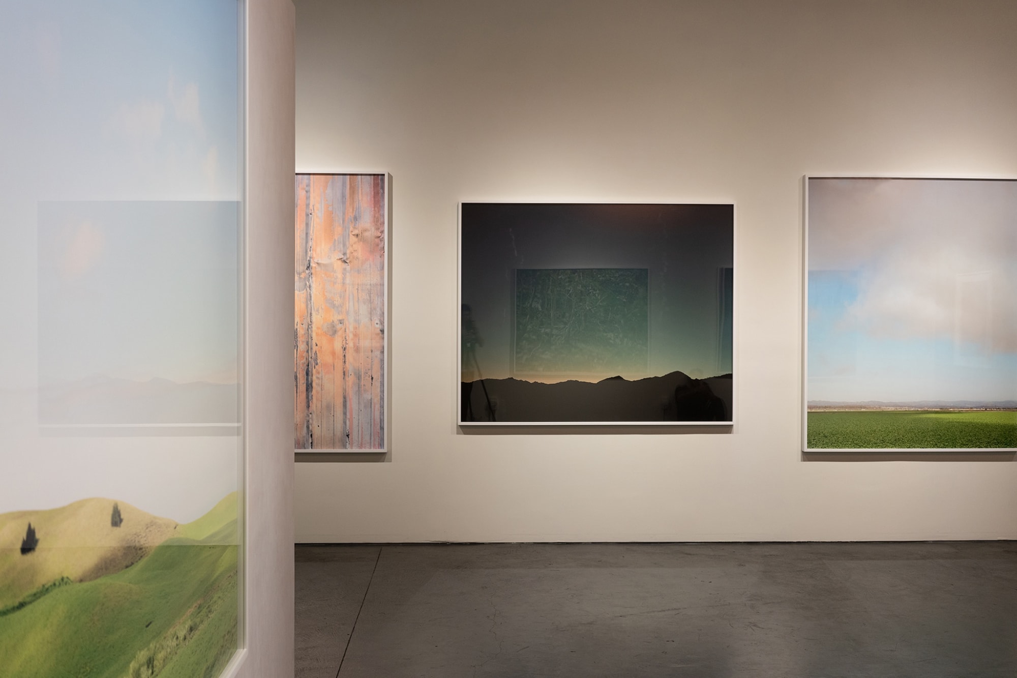 The Coveted Landscape