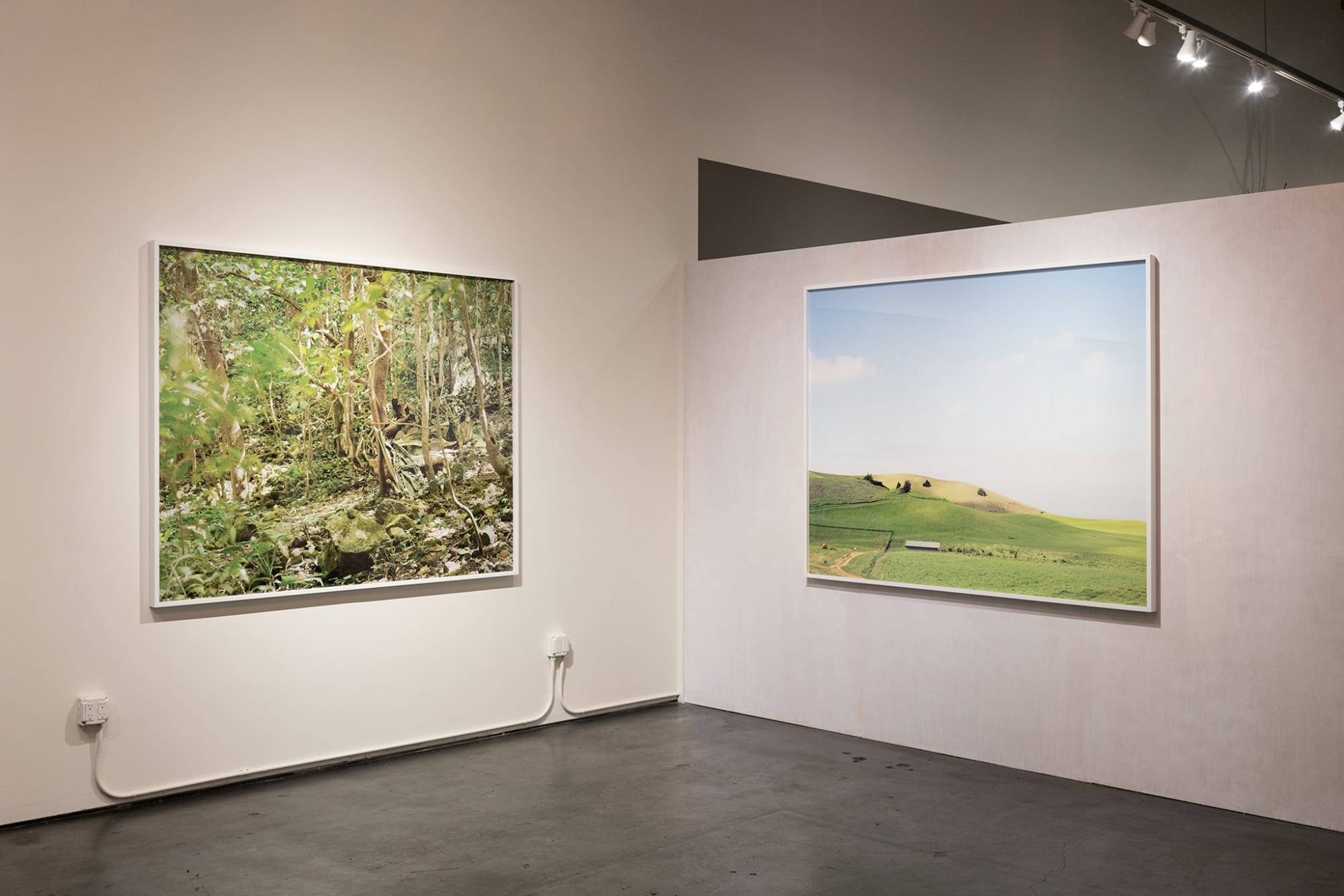 The Coveted Landscape