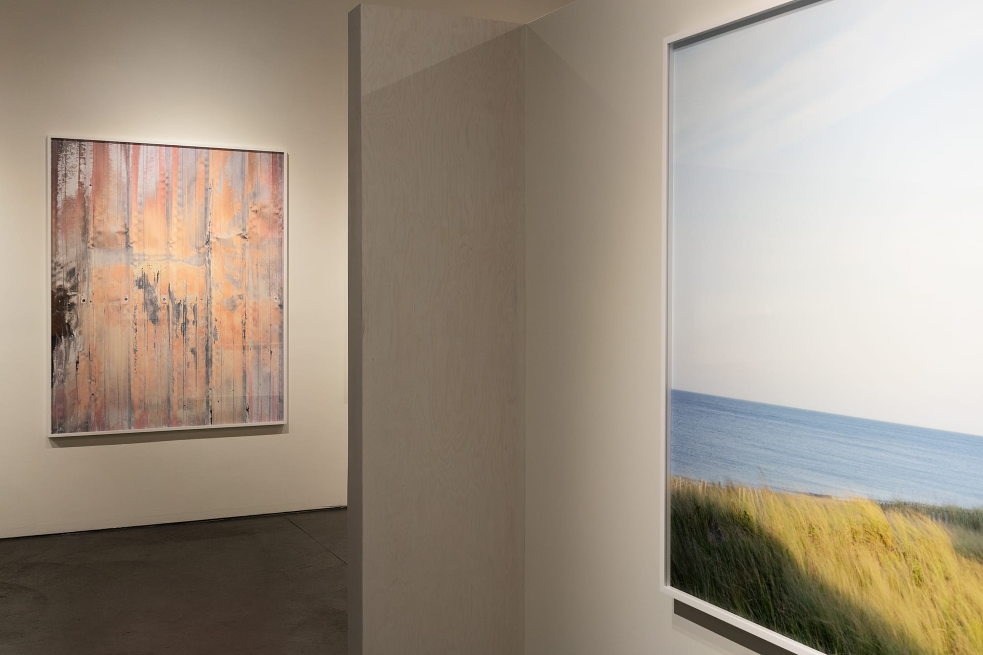 The Coveted Landscape