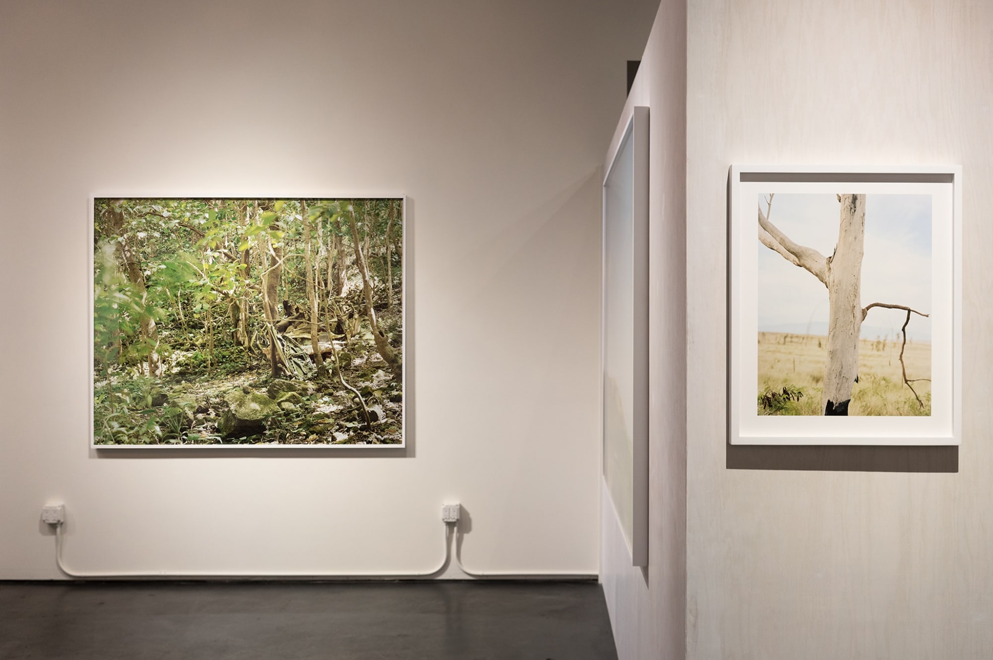 The Coveted Landscape