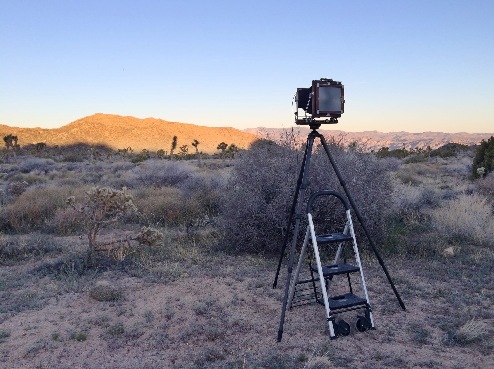 Joshua Tree, California